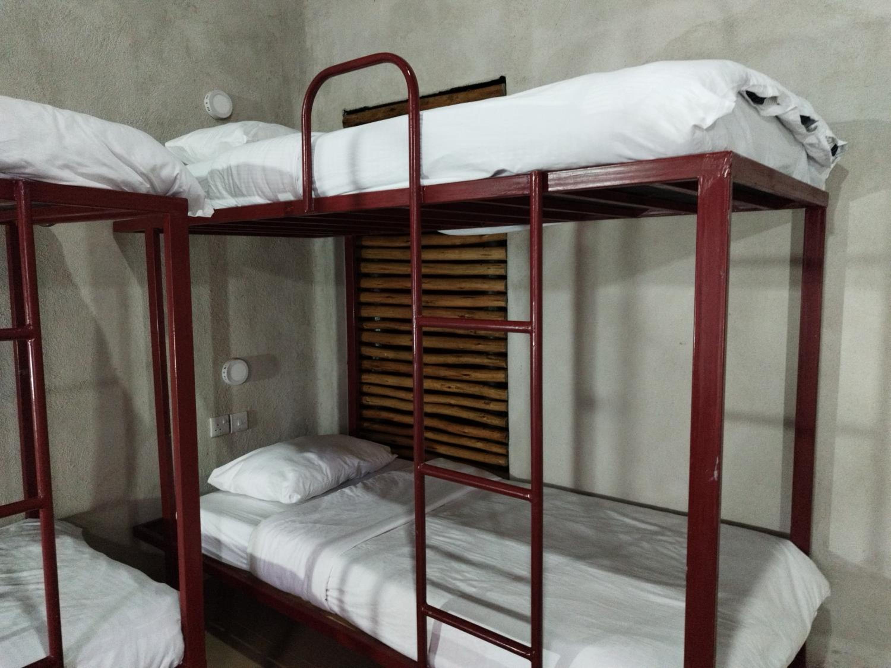 6-Bed Mixed Dormitory Room photo 3