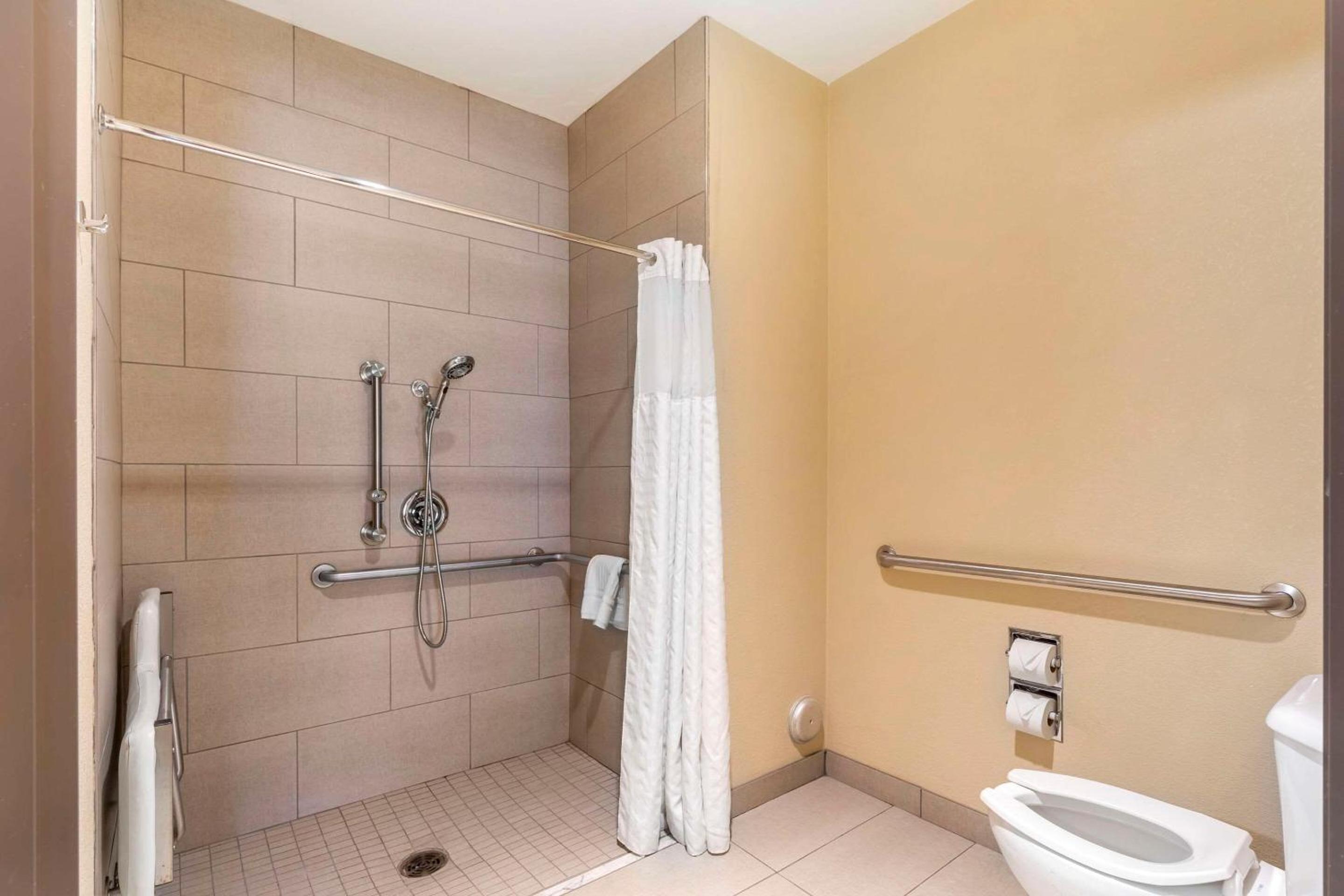 King Room with Roll-In Shower - Accessible/Non-Smoking - Photo 6