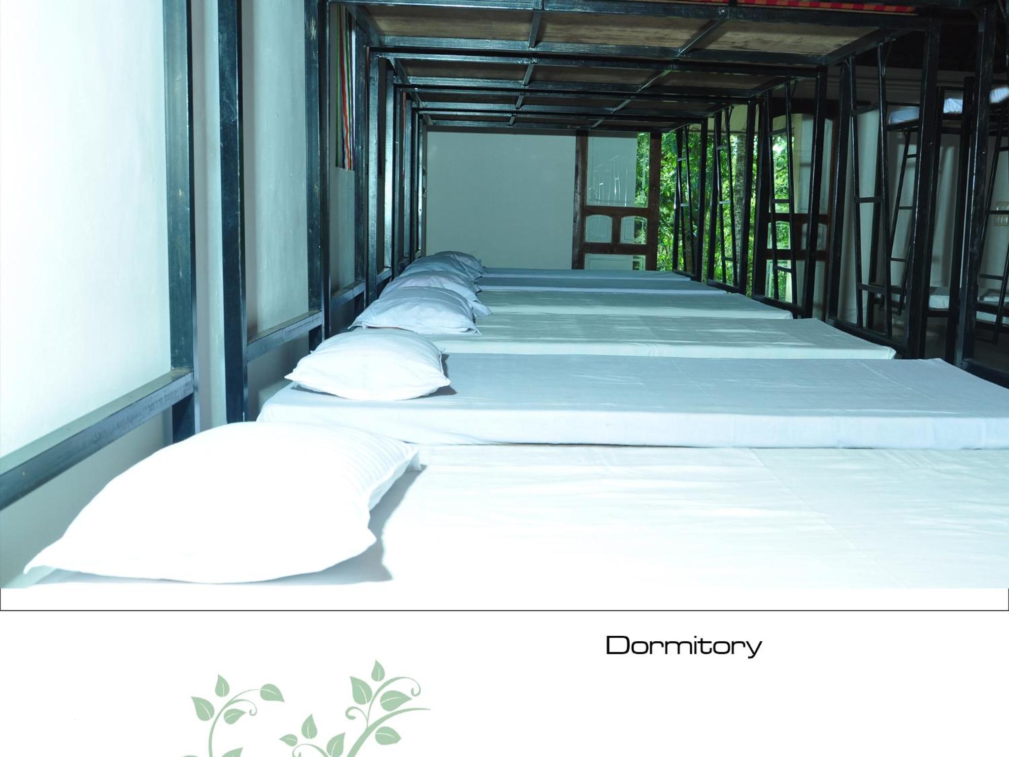 Bunk Bed in Mixed Dormitory Room