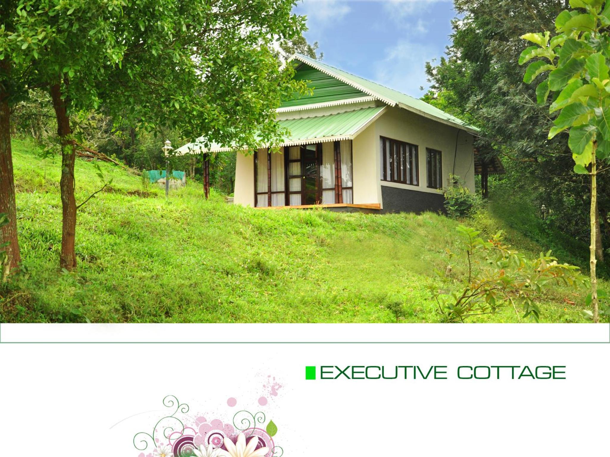 Double Room with Garden View photo 3