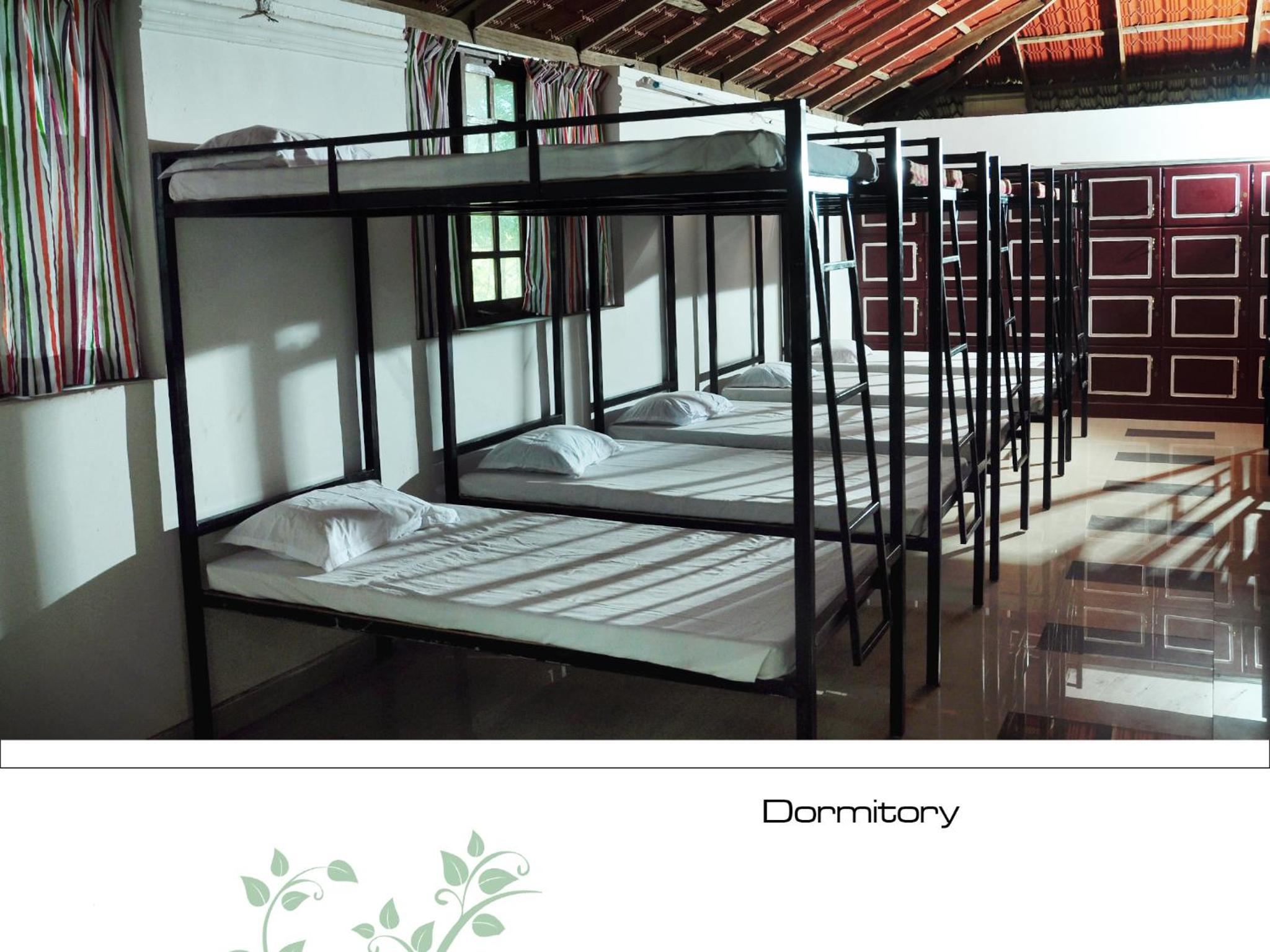 Bunk Bed in Mixed Dormitory Room photo 2