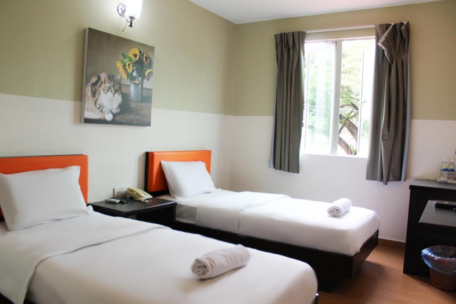 Deluxe Twin Room photo 3