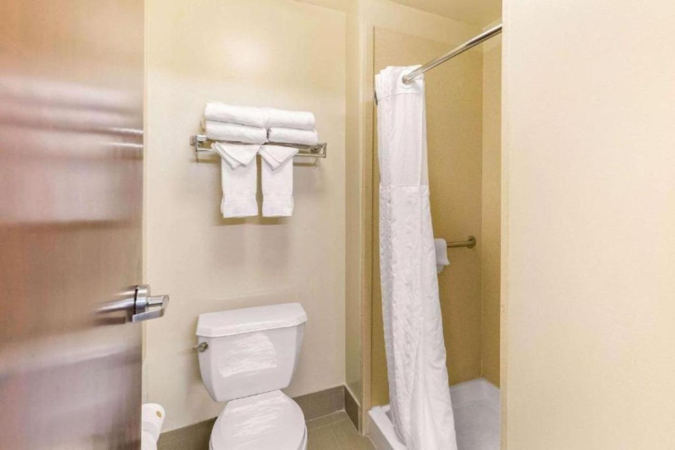 Efficiency King Suite with Sofa Bed - Non Smoking