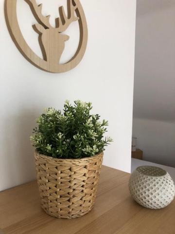 Three-Bedroom Apartment - Photo 14