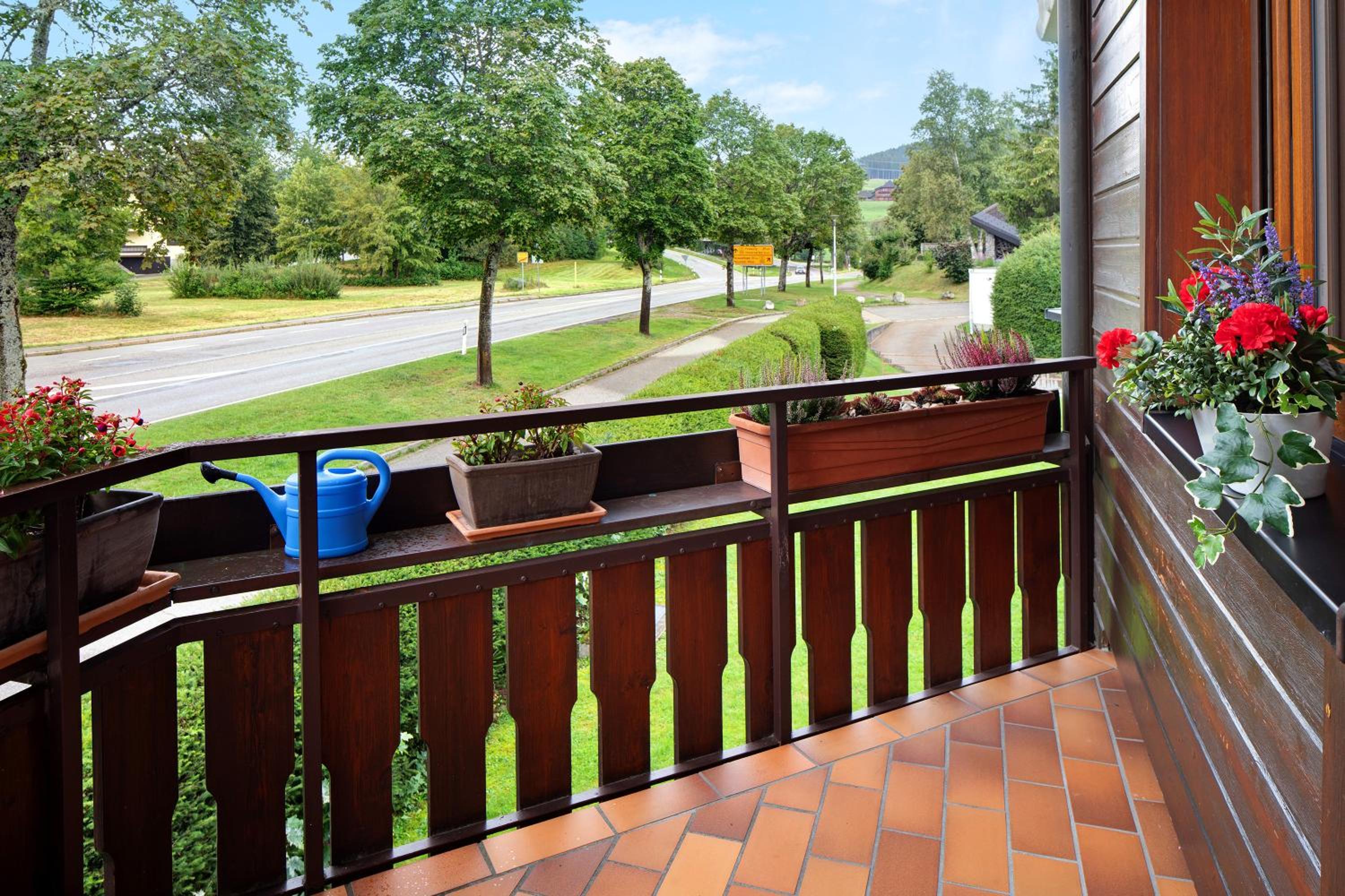 Superior One-Bedroom Apartment with Balcony photo 3