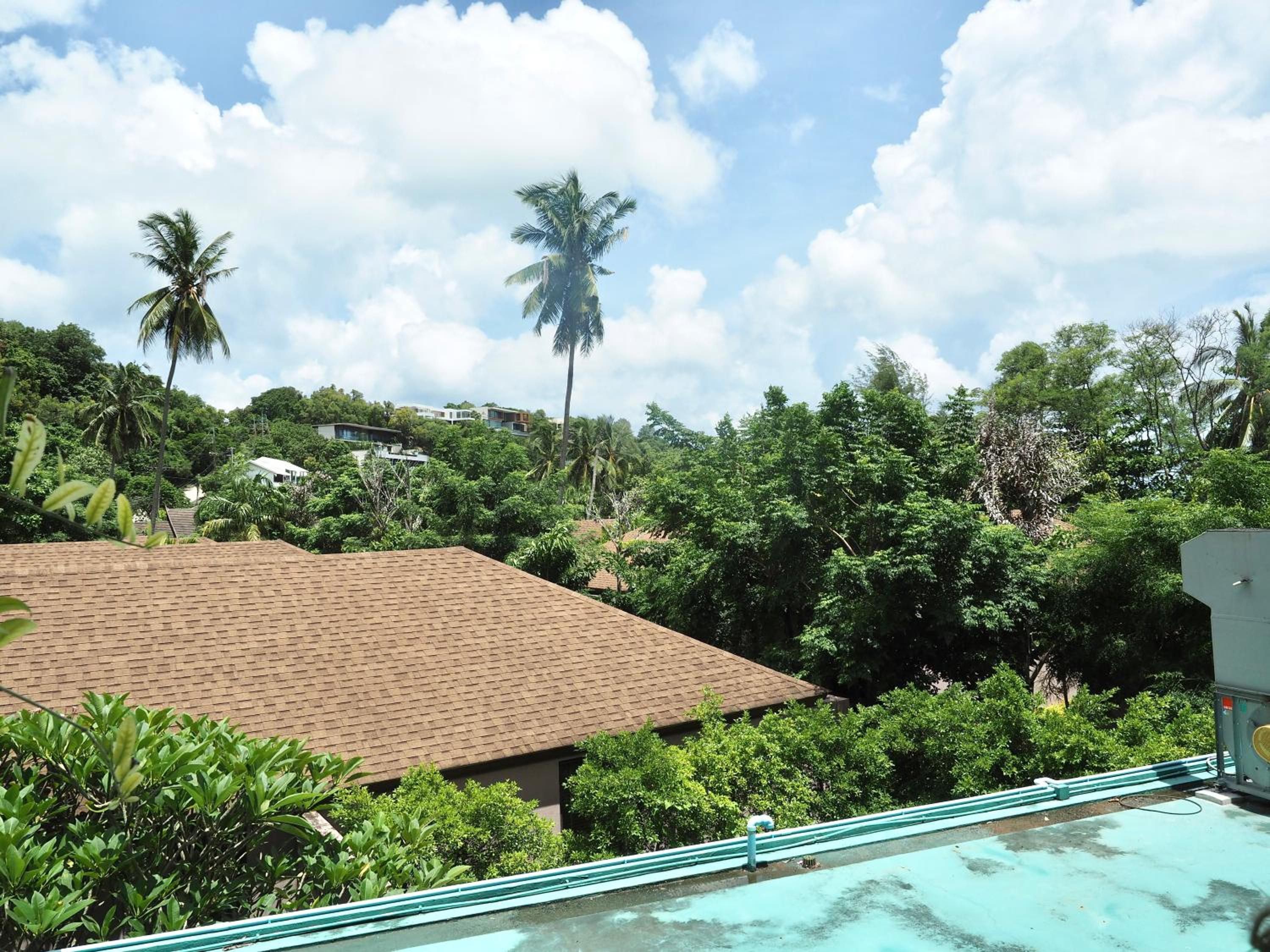 Deluxe Double with Tree View - Photo 10