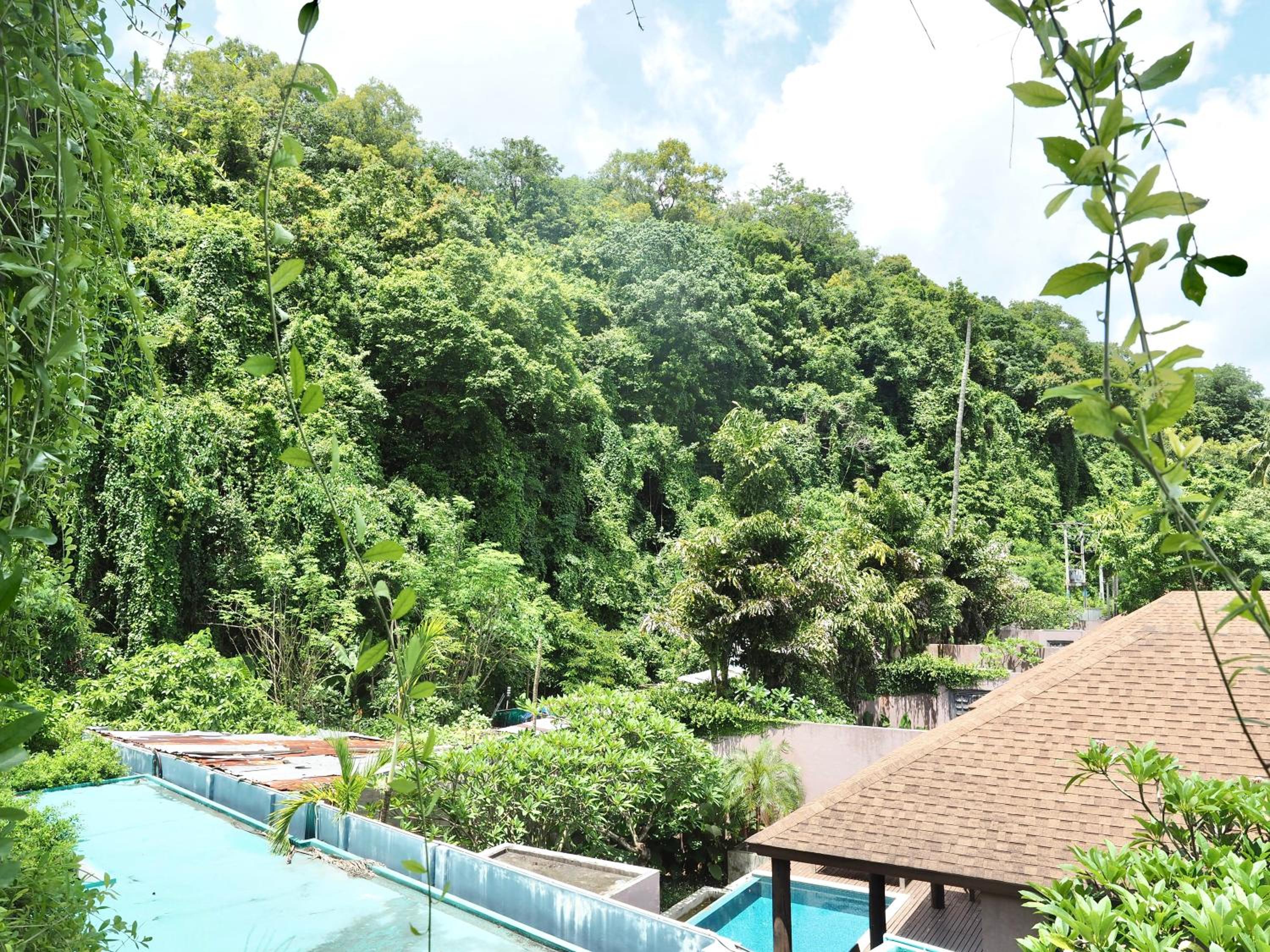 Deluxe Double with Tree View - Photo 4