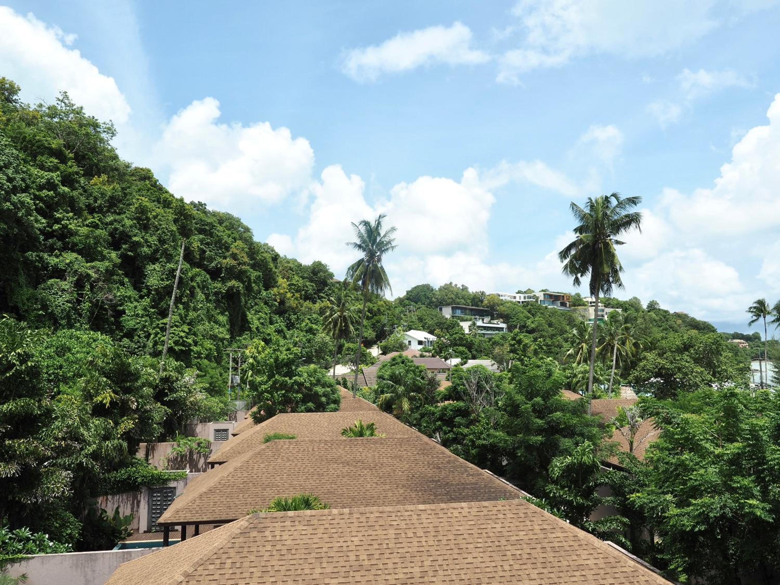 Deluxe Double with Tree View - Photo 5