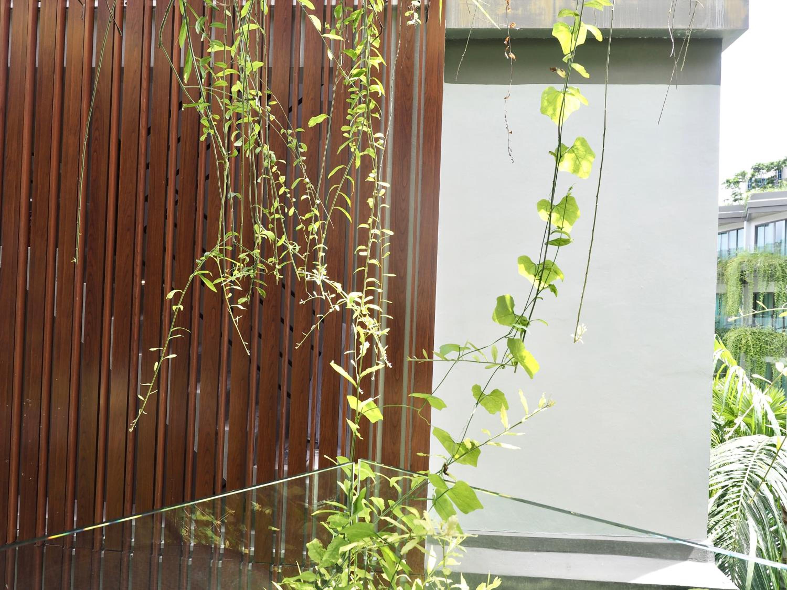 Deluxe Double with Facade View - Photo 8