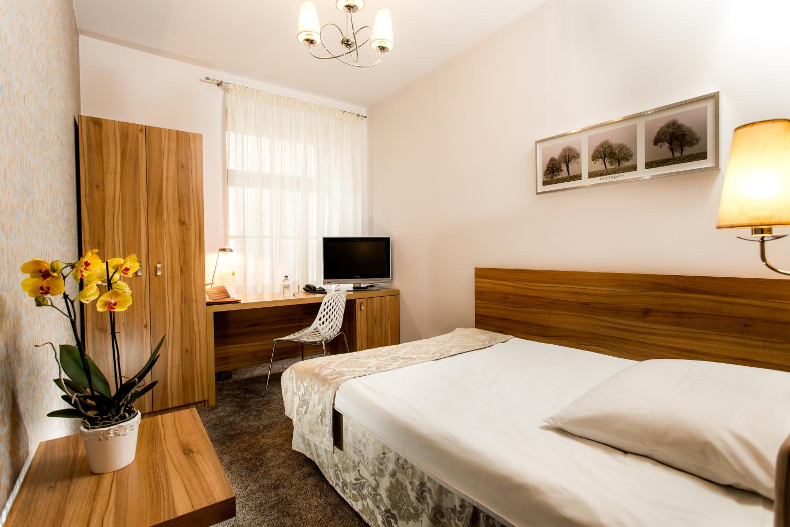 Mini Standard Room photo 3