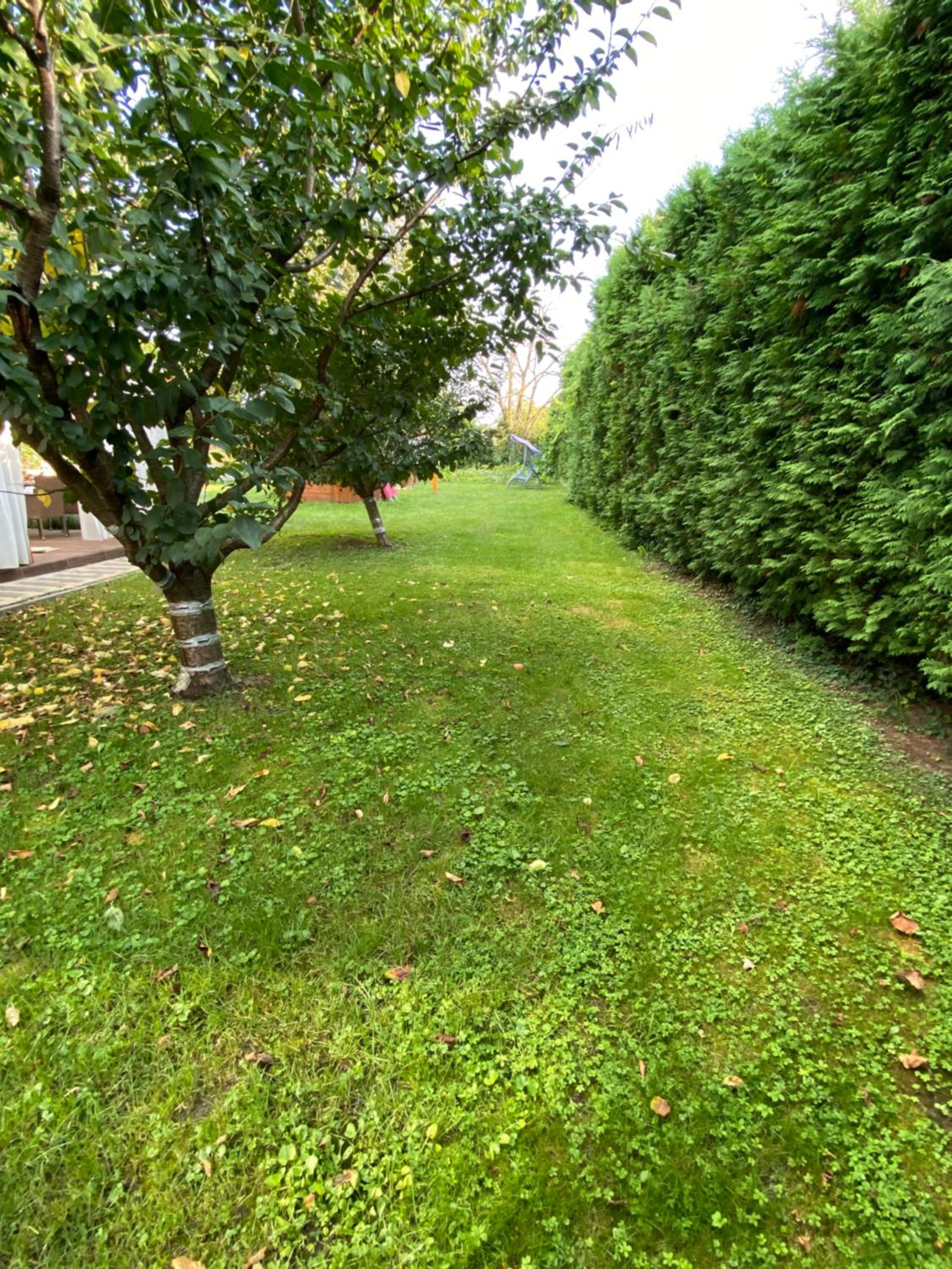 Apartment - Ground Floor - Photo 18
