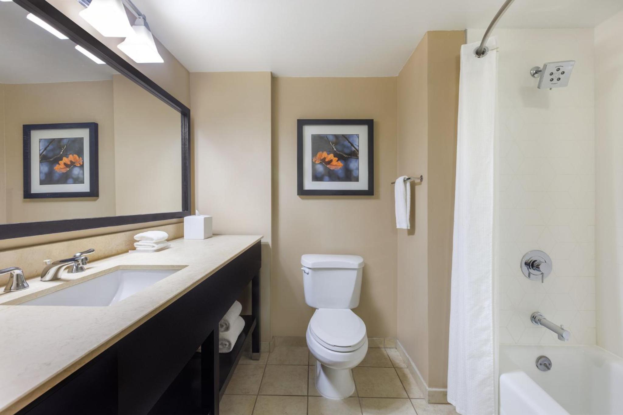 Standard King Room - Photo 6