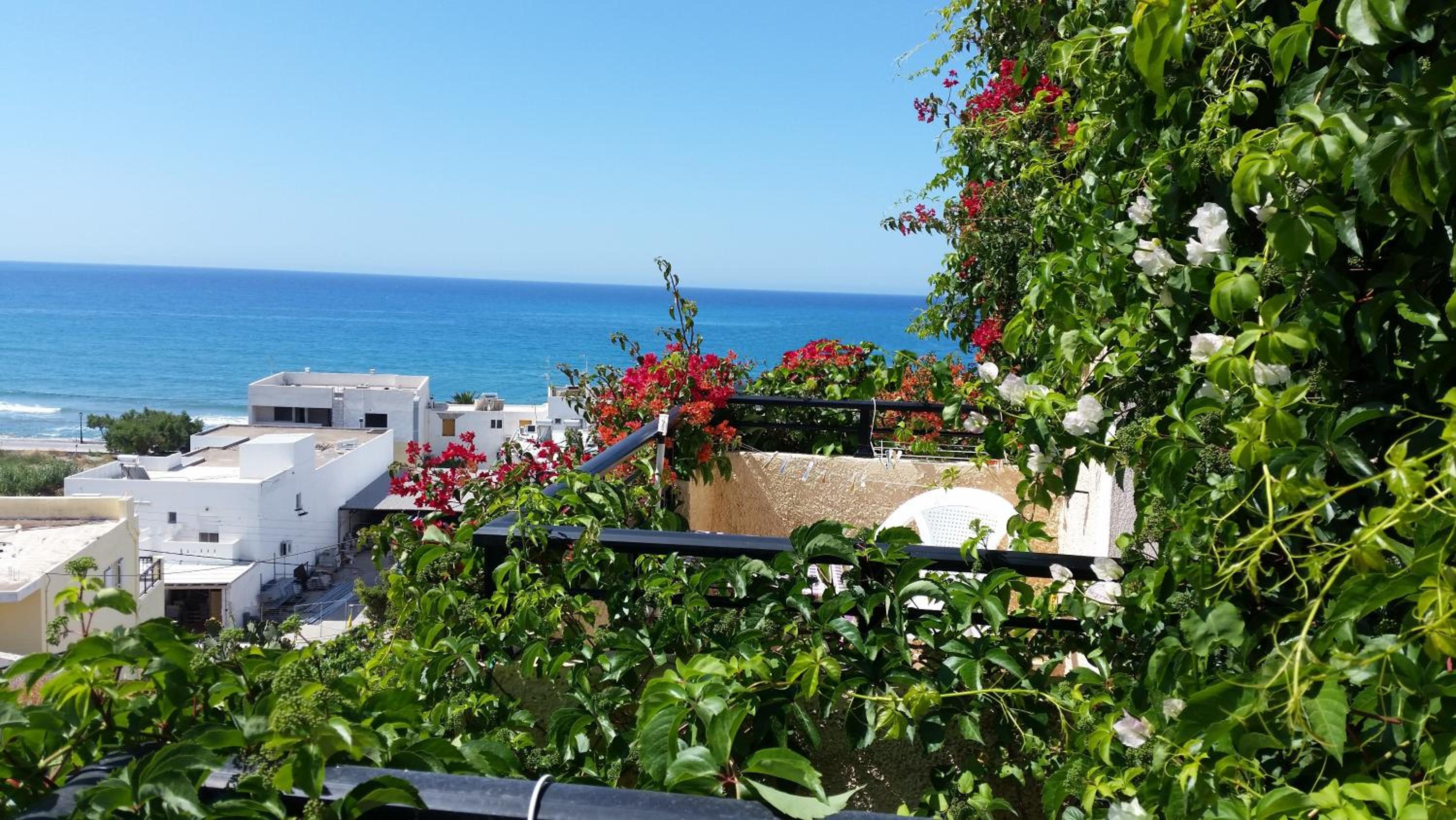 One-Bedroom Apartment with Sea View photo 3