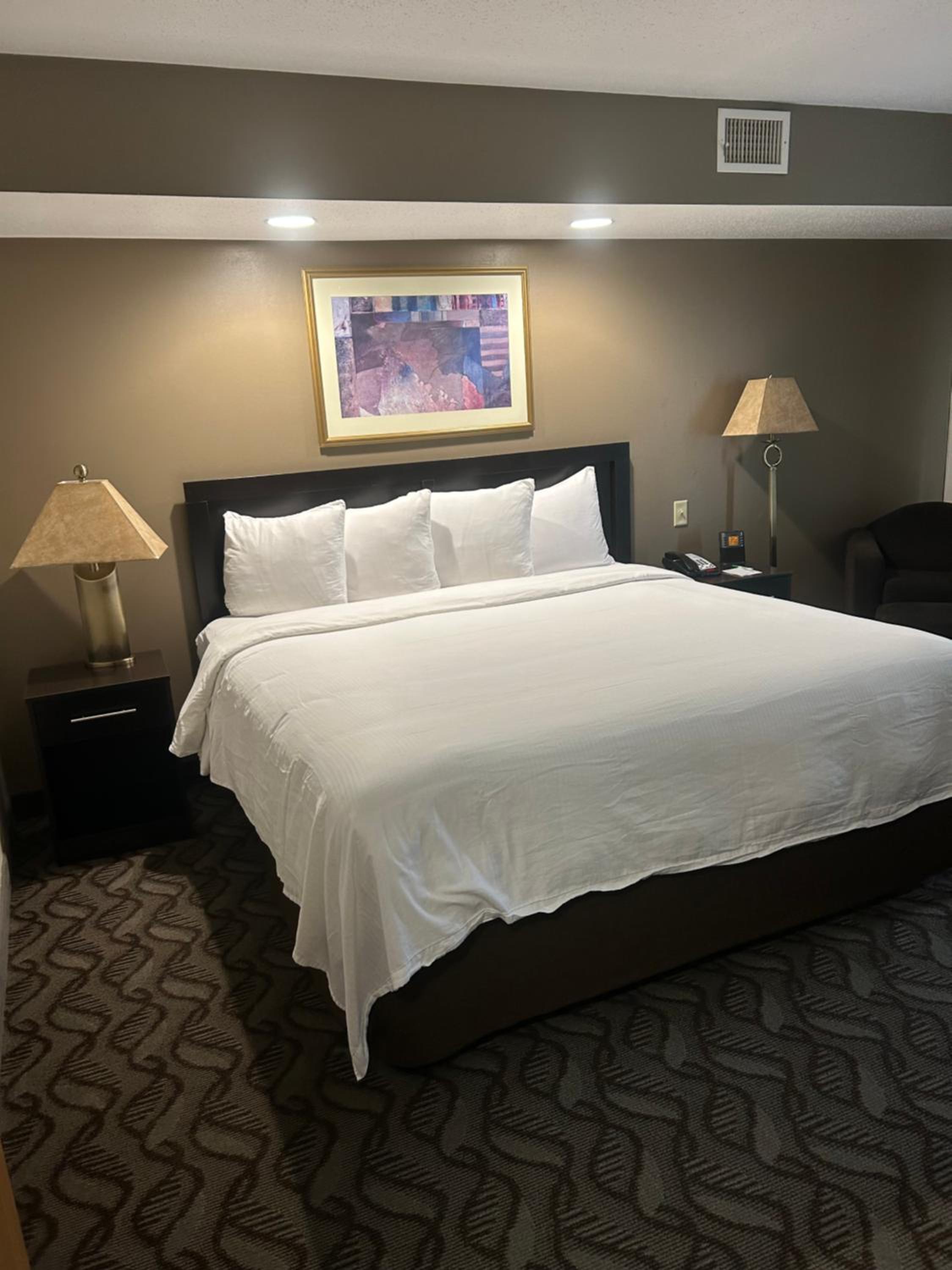 King Suite - Photo 2