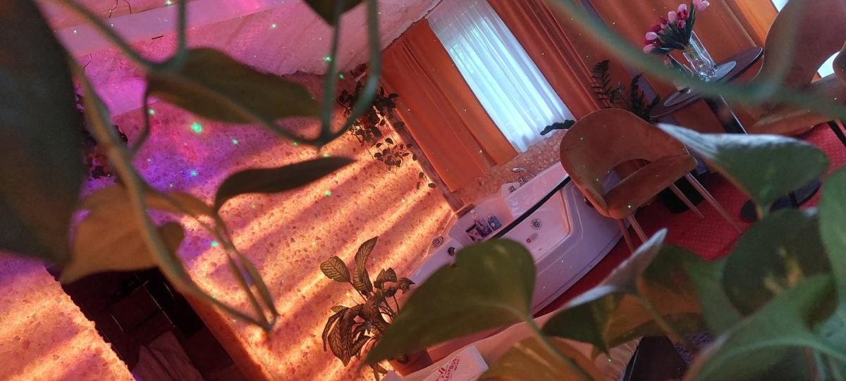 Apartment - Photo 21