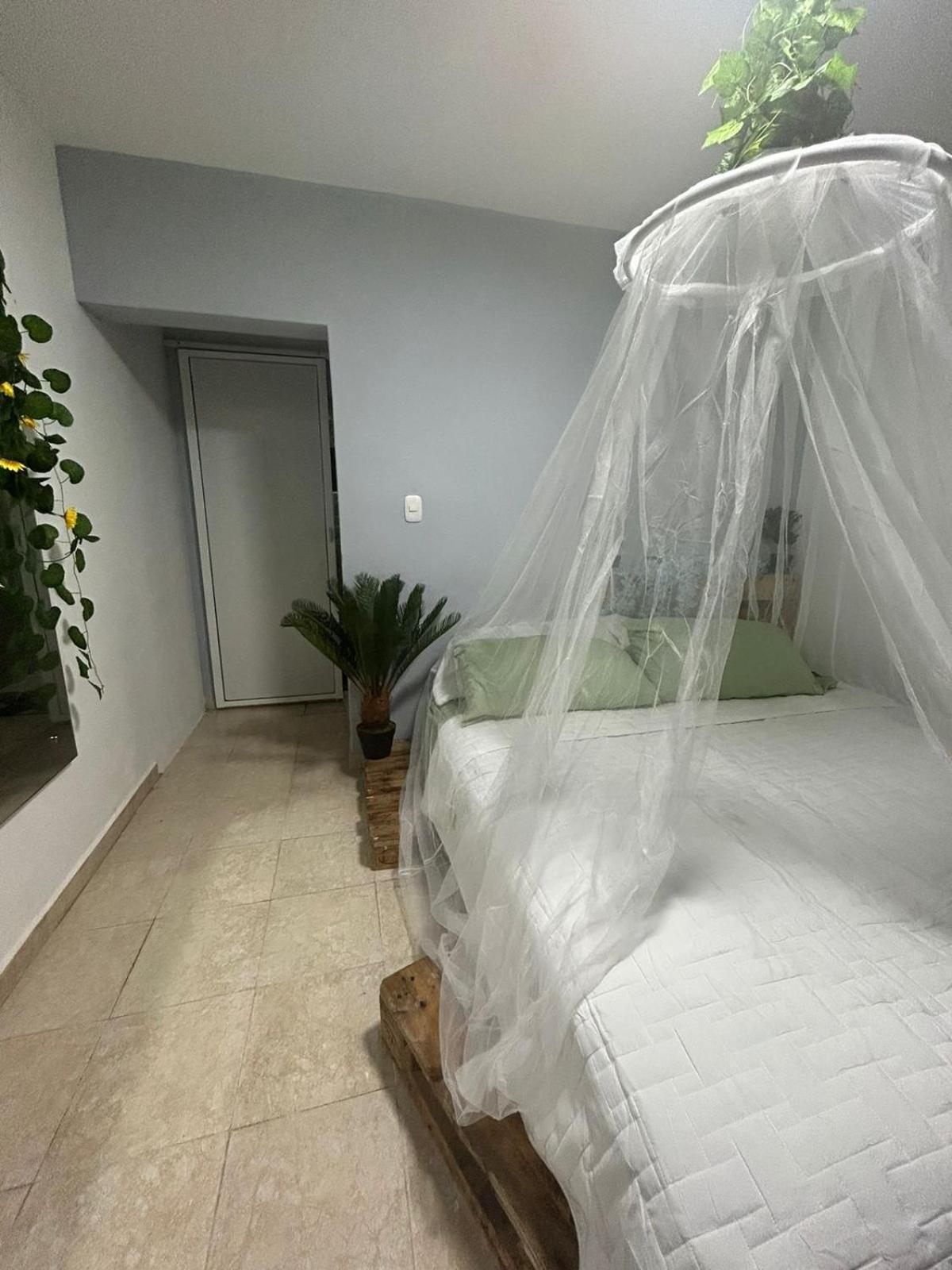 Double Room with Balcony photo 3