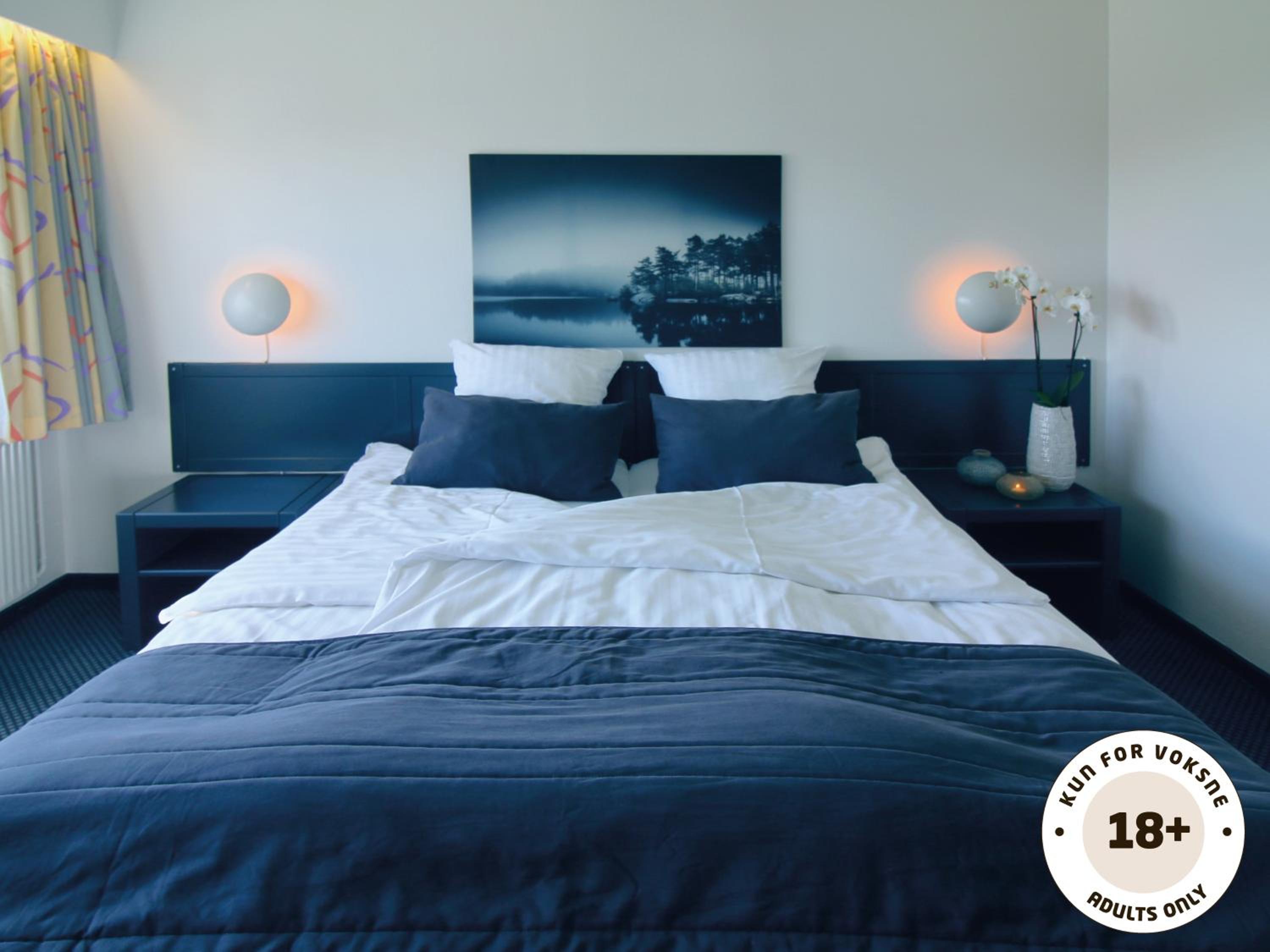 Deluxe Double or Twin Room photo 1