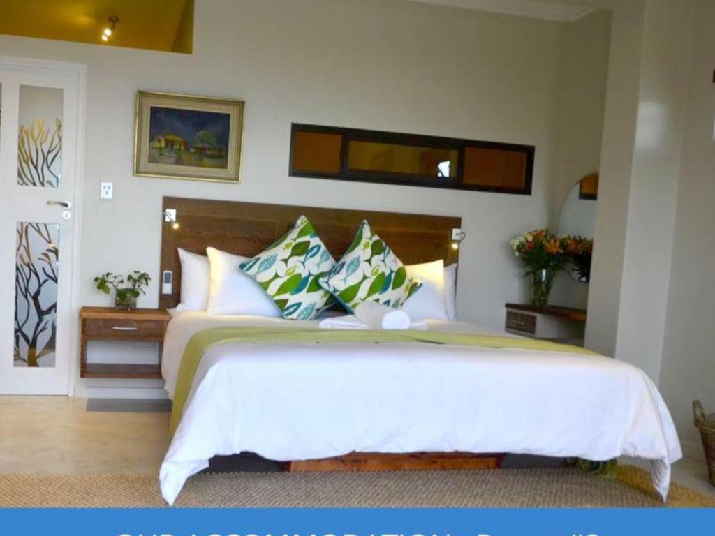 Basic King Room photo 2