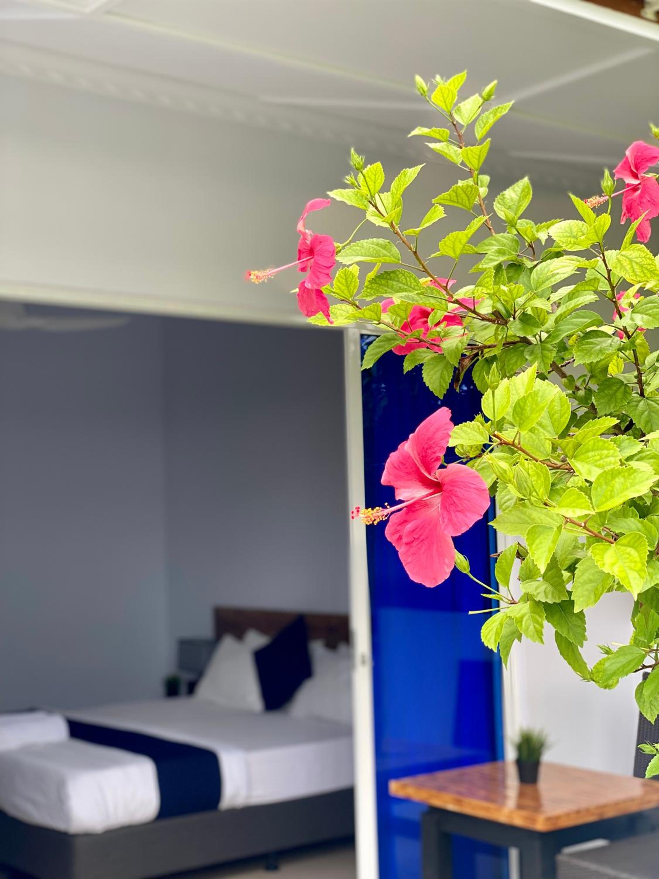 Double or Twin Room with Garden View - Photo 1