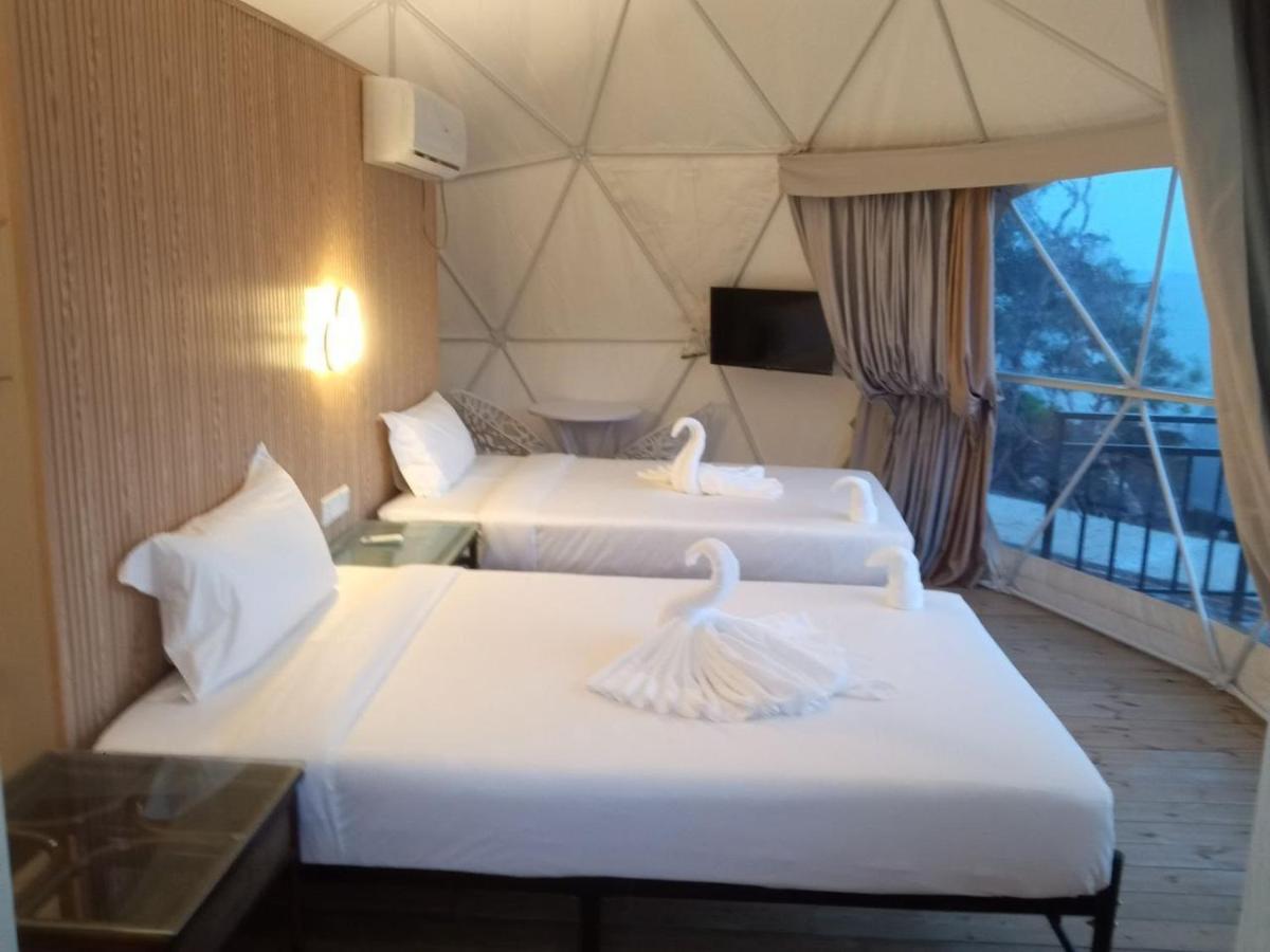 Twin Room photo 2