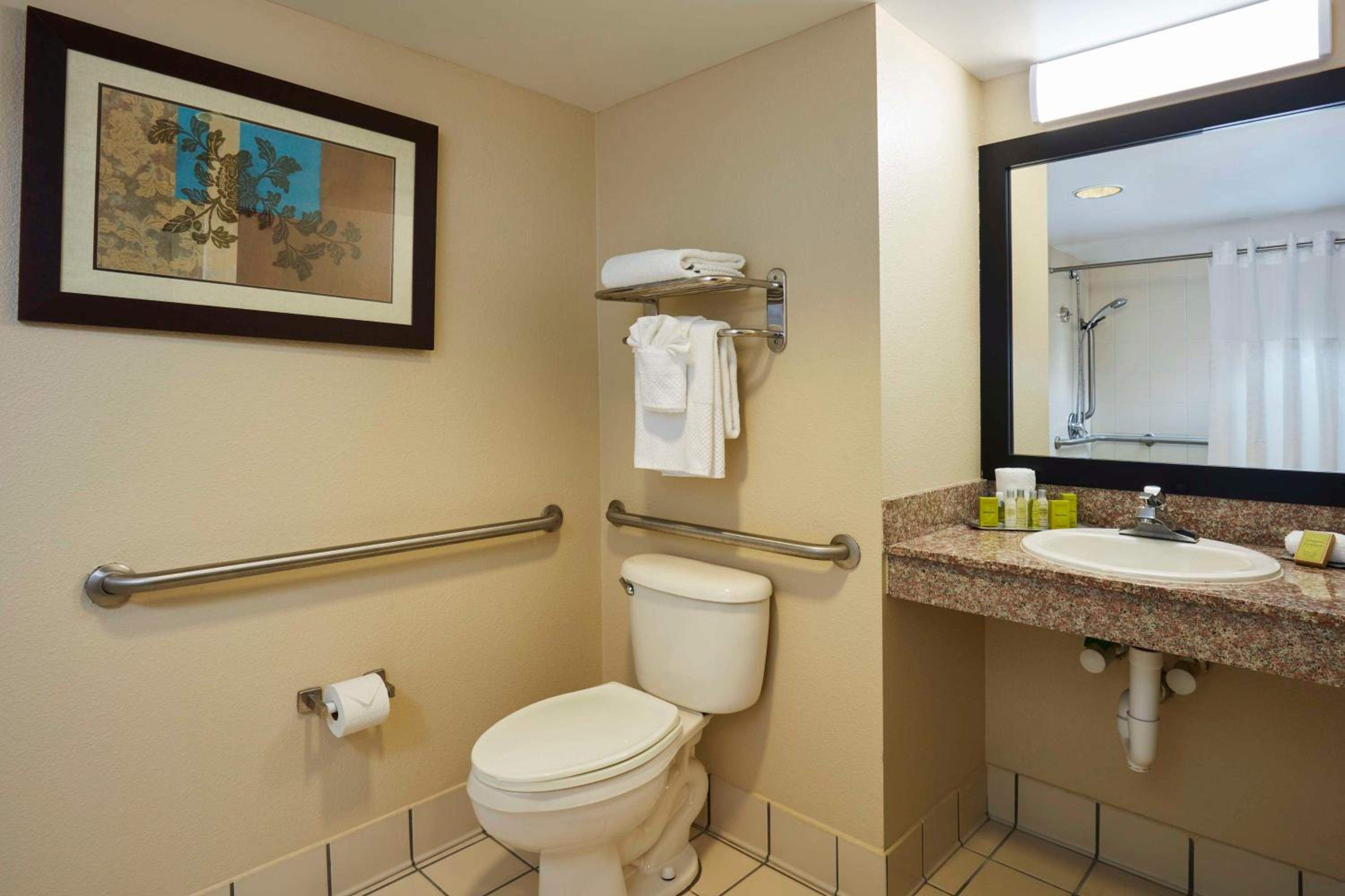 King Room with Roll-In Shower - Disability Access