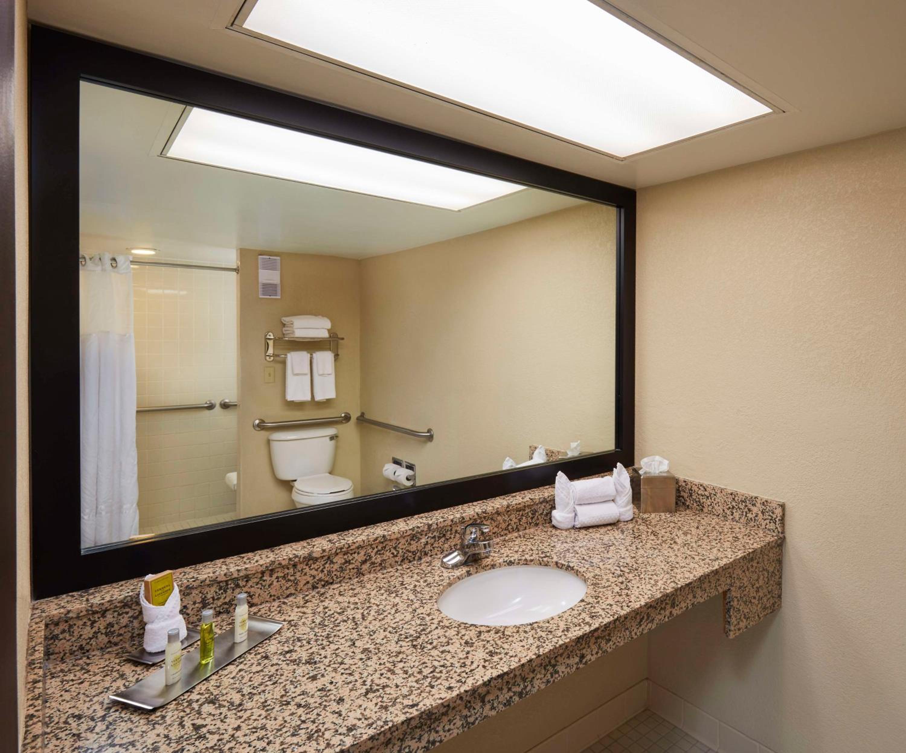 King Room with Roll-In Shower - Disability Access