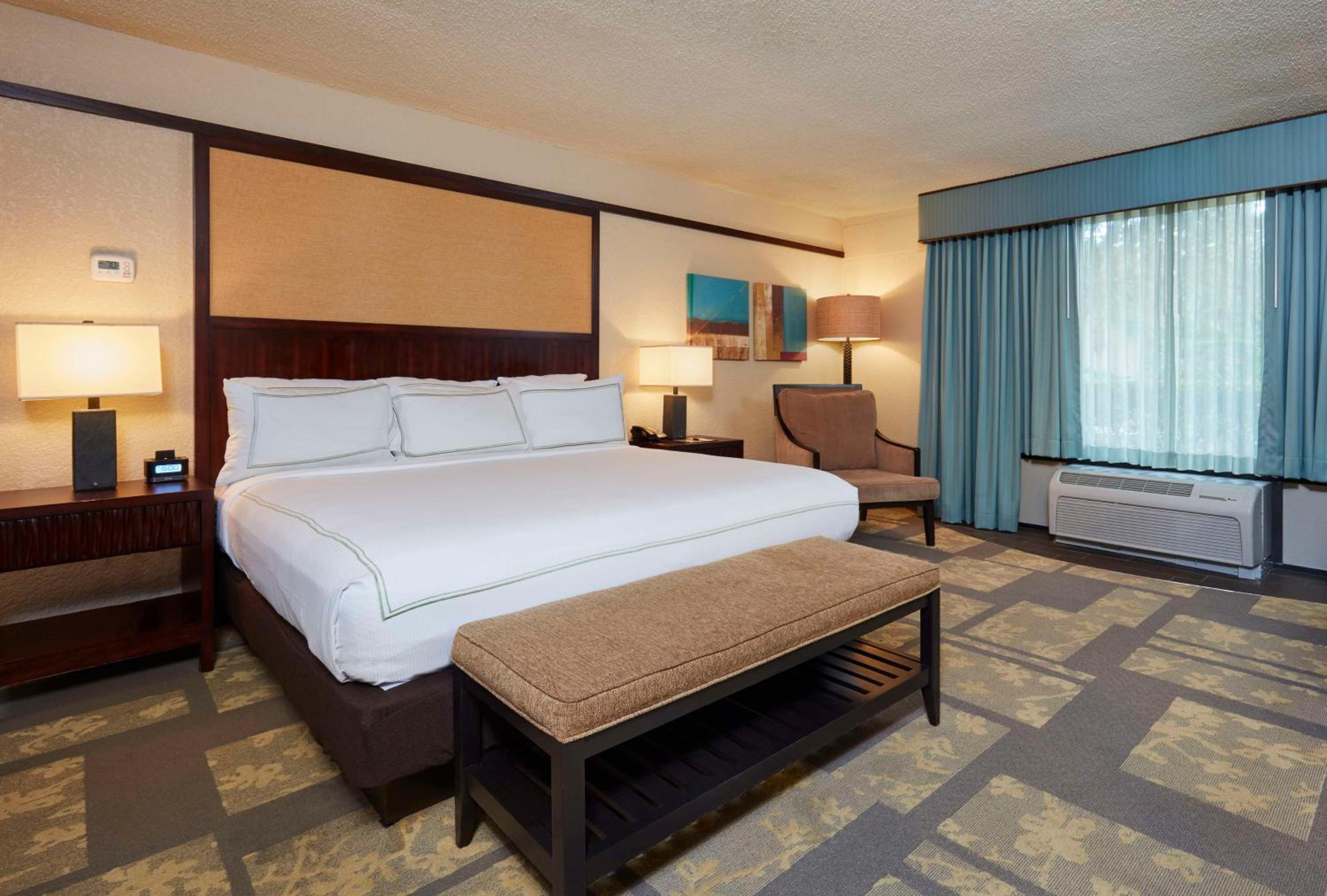 King Suite with Sofa Bed - Resort View