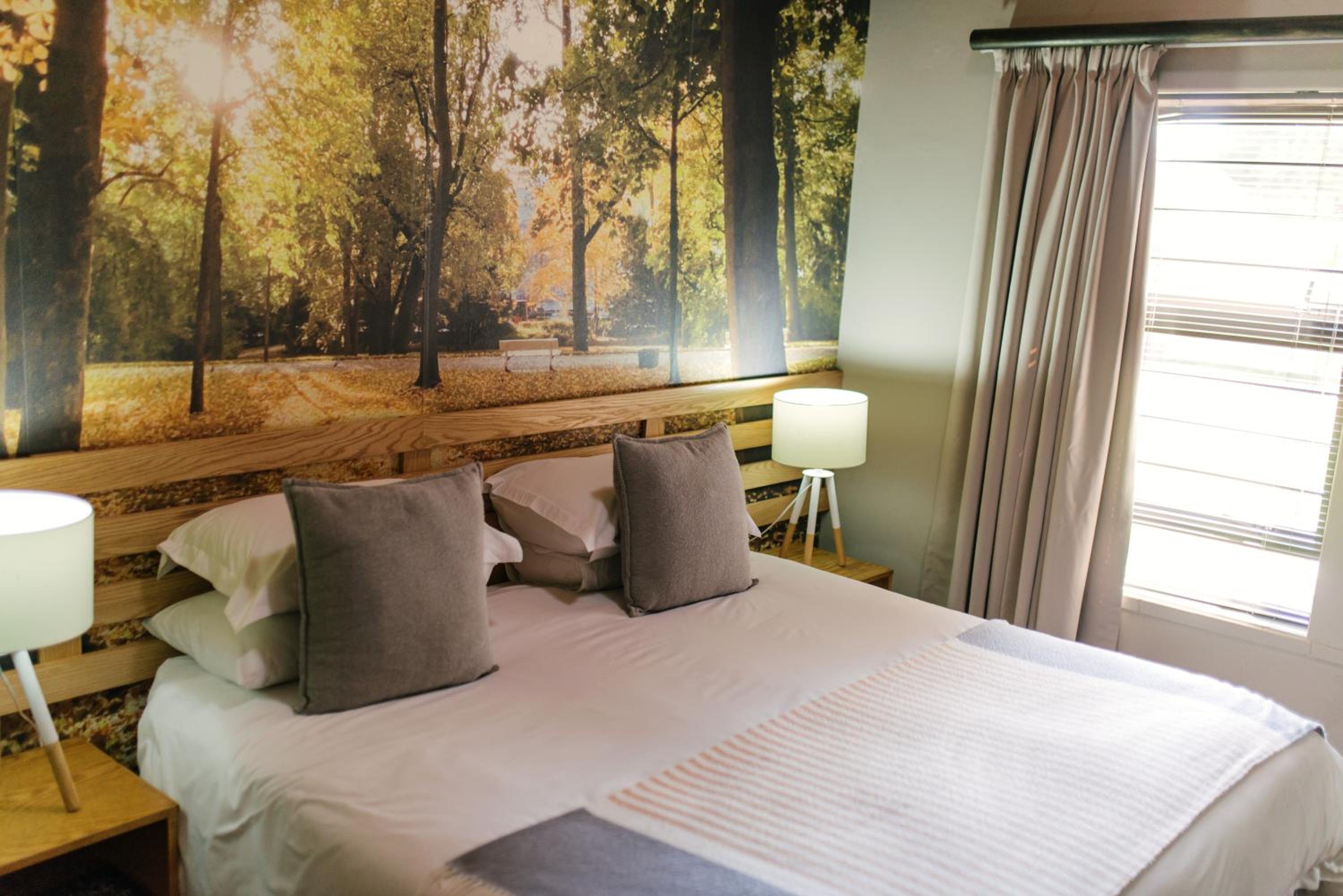 Deluxe King Room photo 3