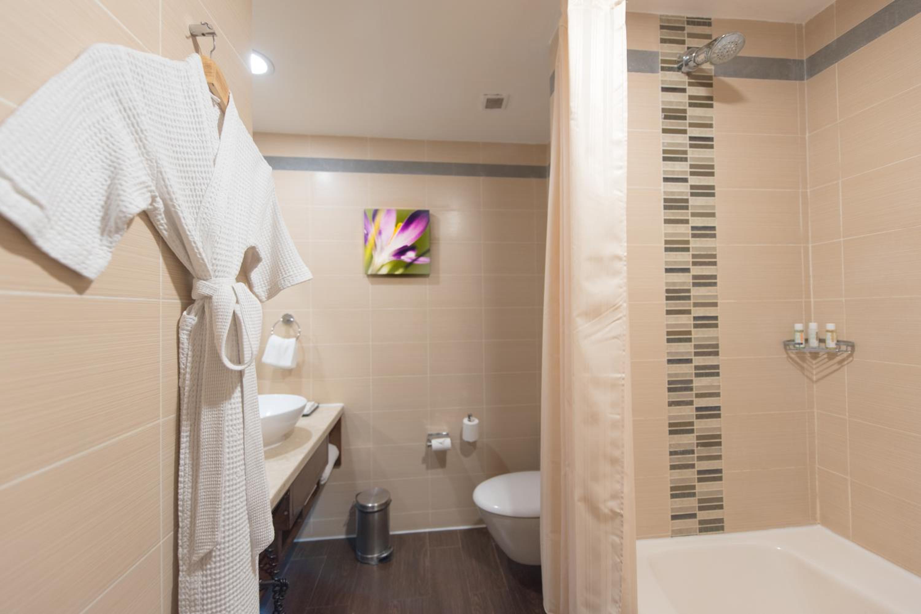 Premium King Room - Photo 3