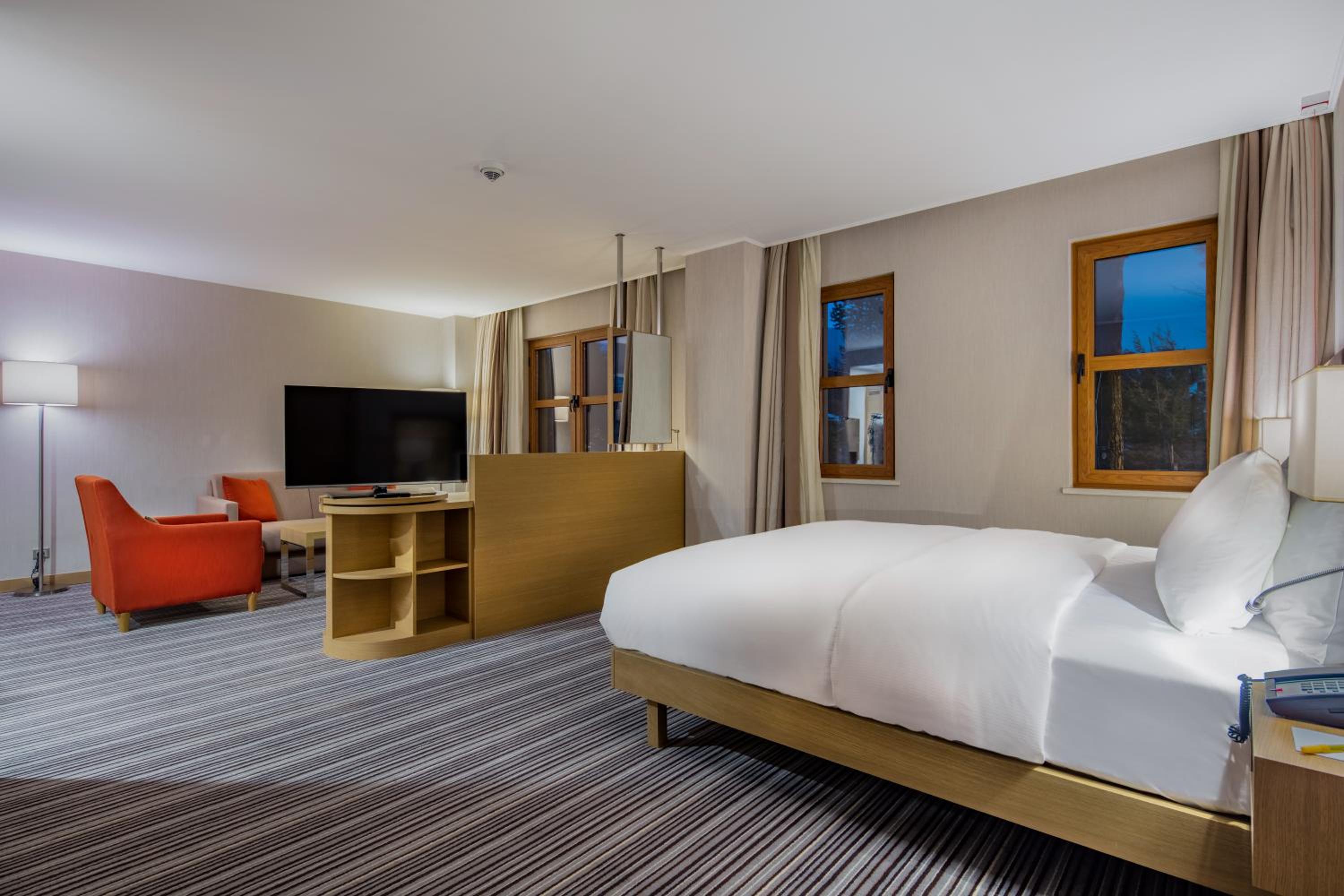 King Room - Mobility Accessible thumbnail 6