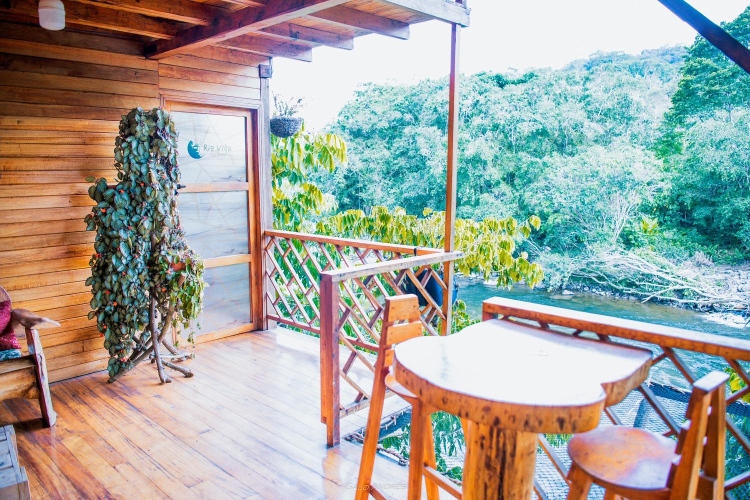 Bungalow - Water Front  photo 3
