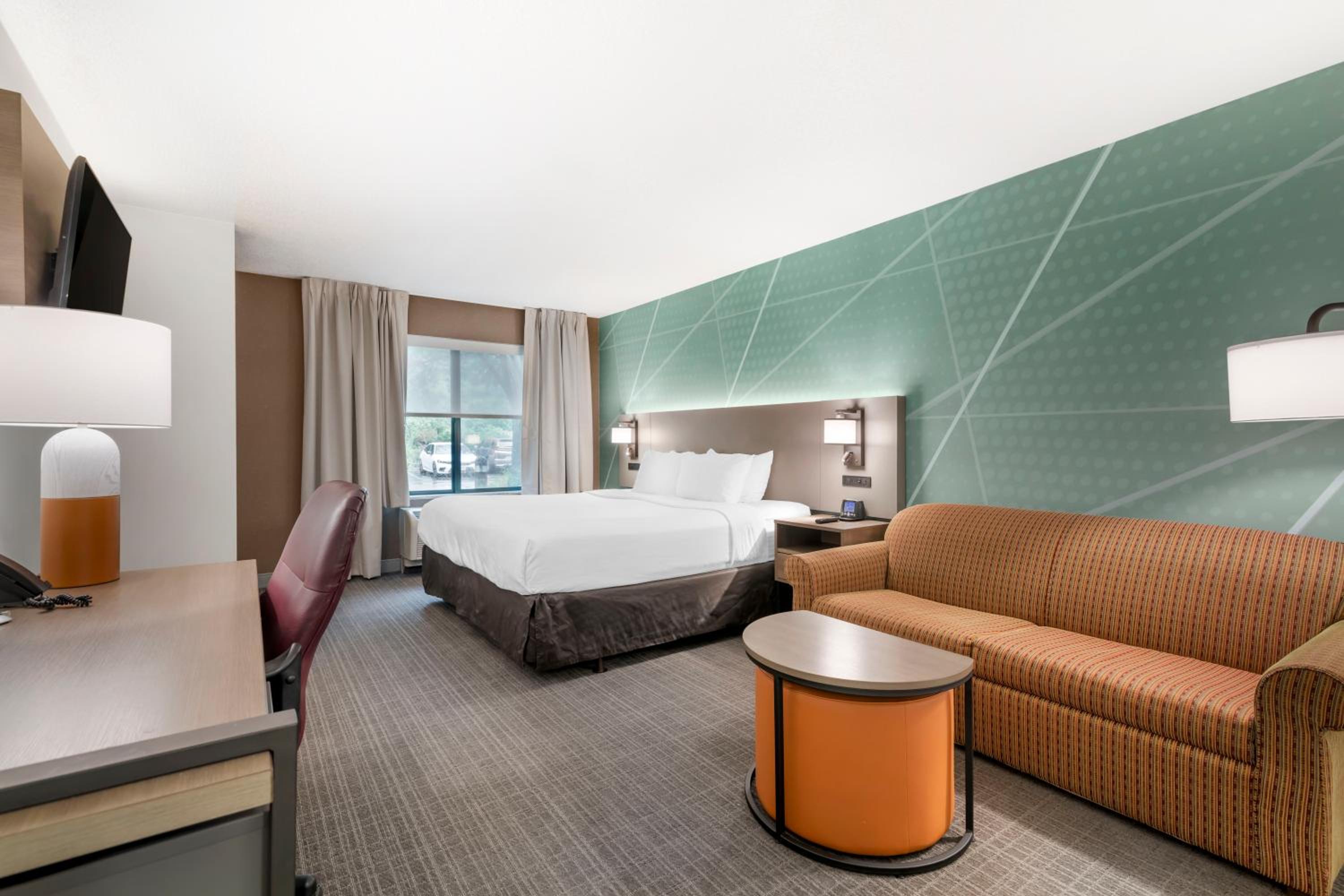 King Room with Roll-In Shower and Sofa Bed - Accessible/Non-Smoking