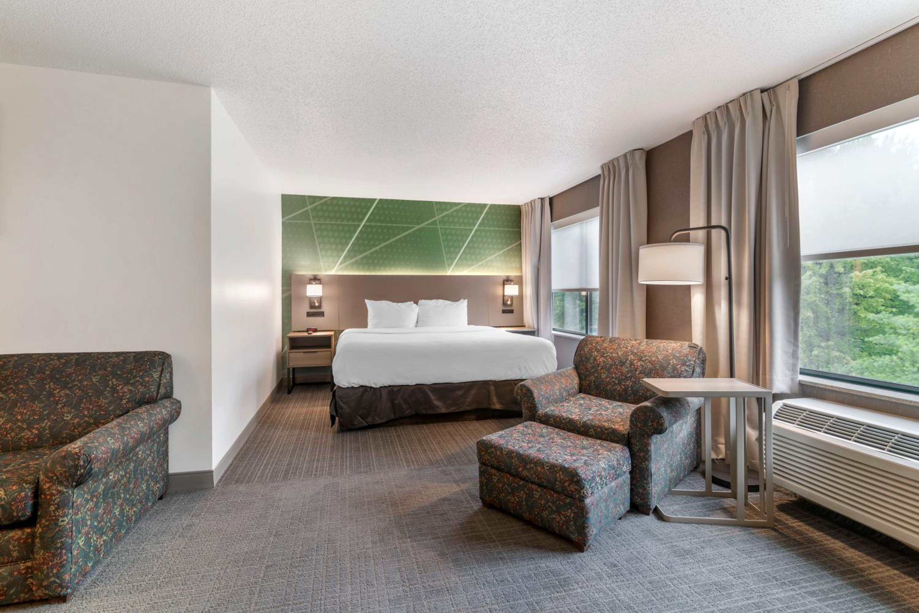 King Suite with Sofa Bed - Accessible/Non-Smoking - Photo 7