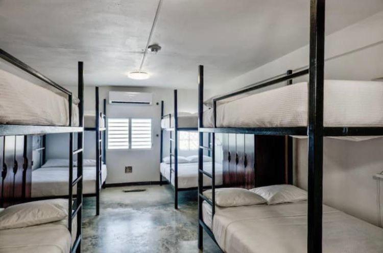 Bed in 8-Bed Female Dormitory photo 3