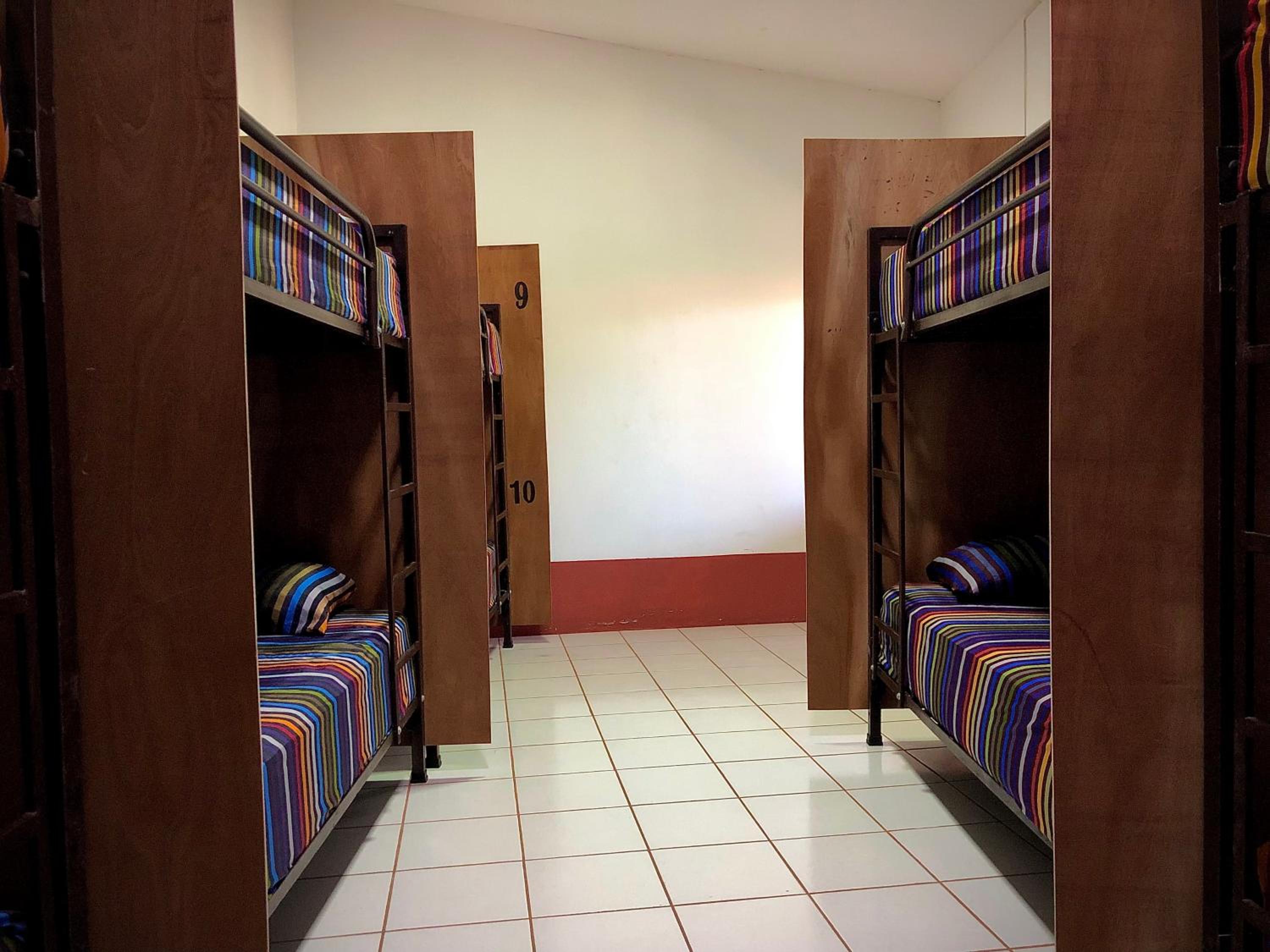 Single Bed in Mixed Dormitory Room photo 3