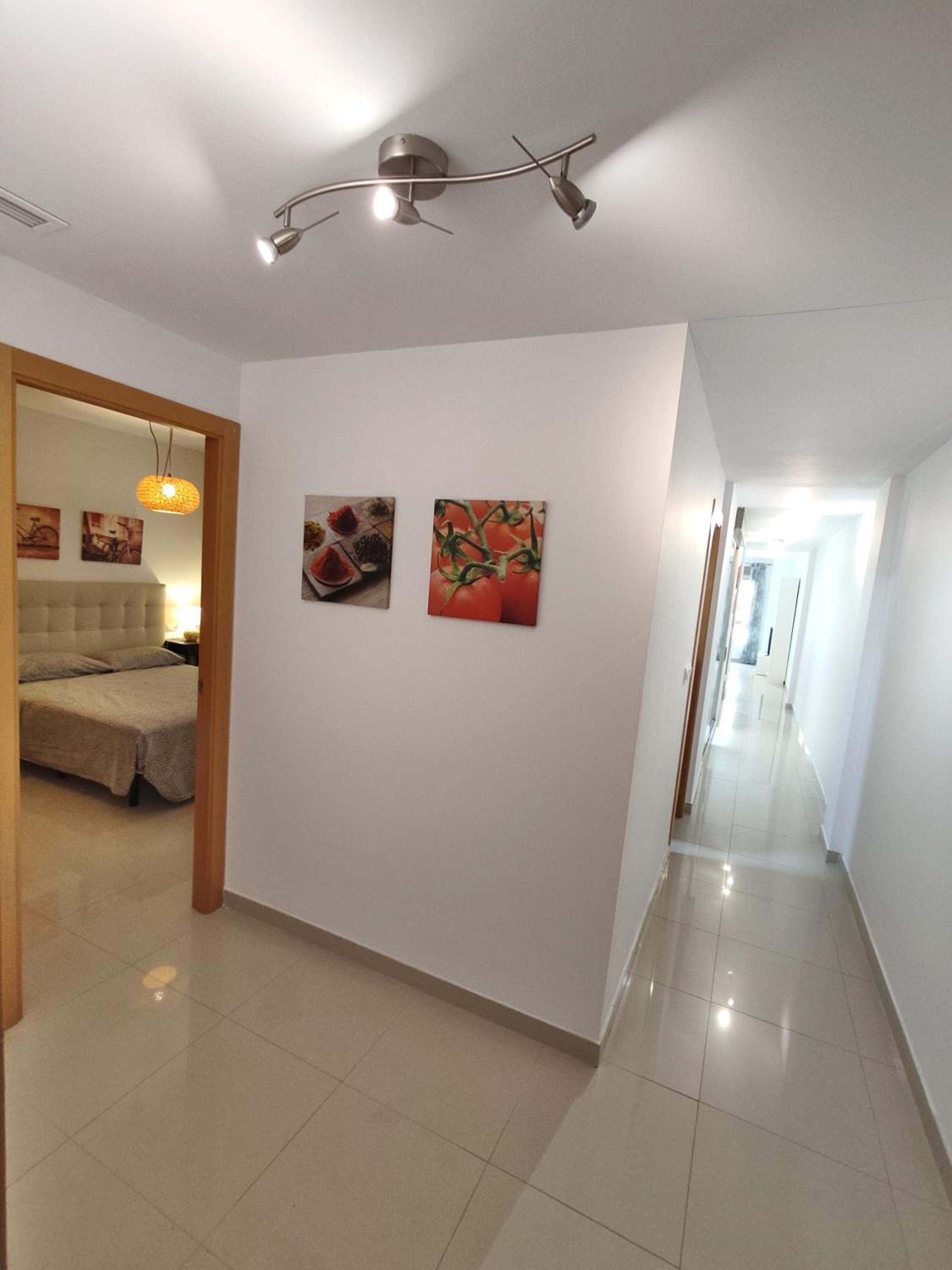 Apartment with Terrace photo 3