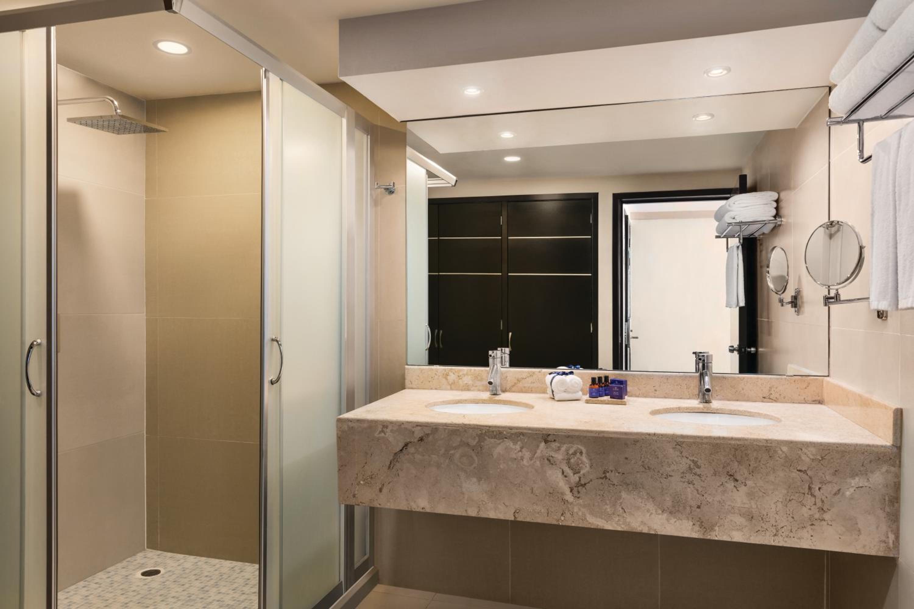 Grand Luxe Suite with Jacuzzi One King Bed photo 2