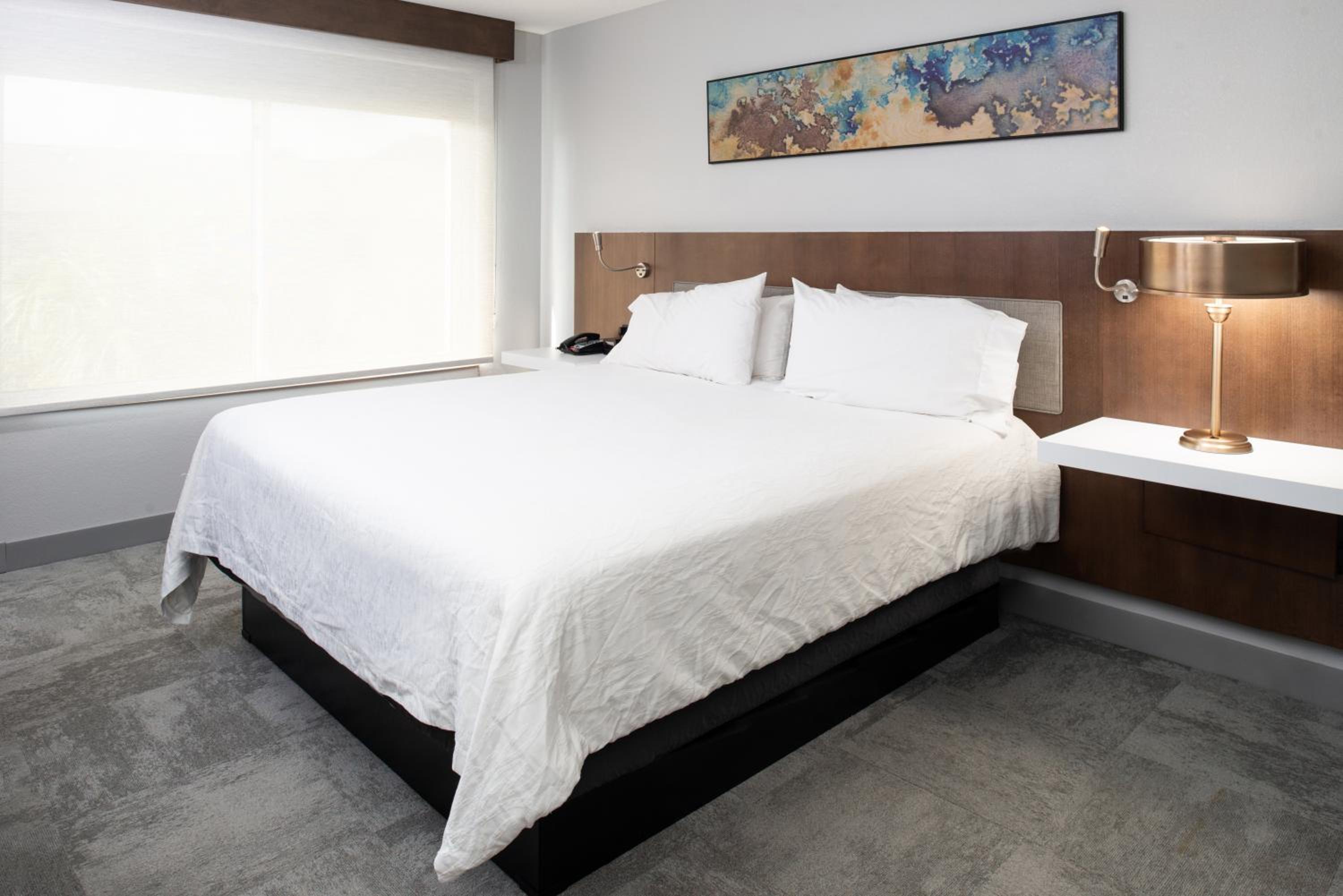 Junior King Suite with Sofa Bed - Photo 8