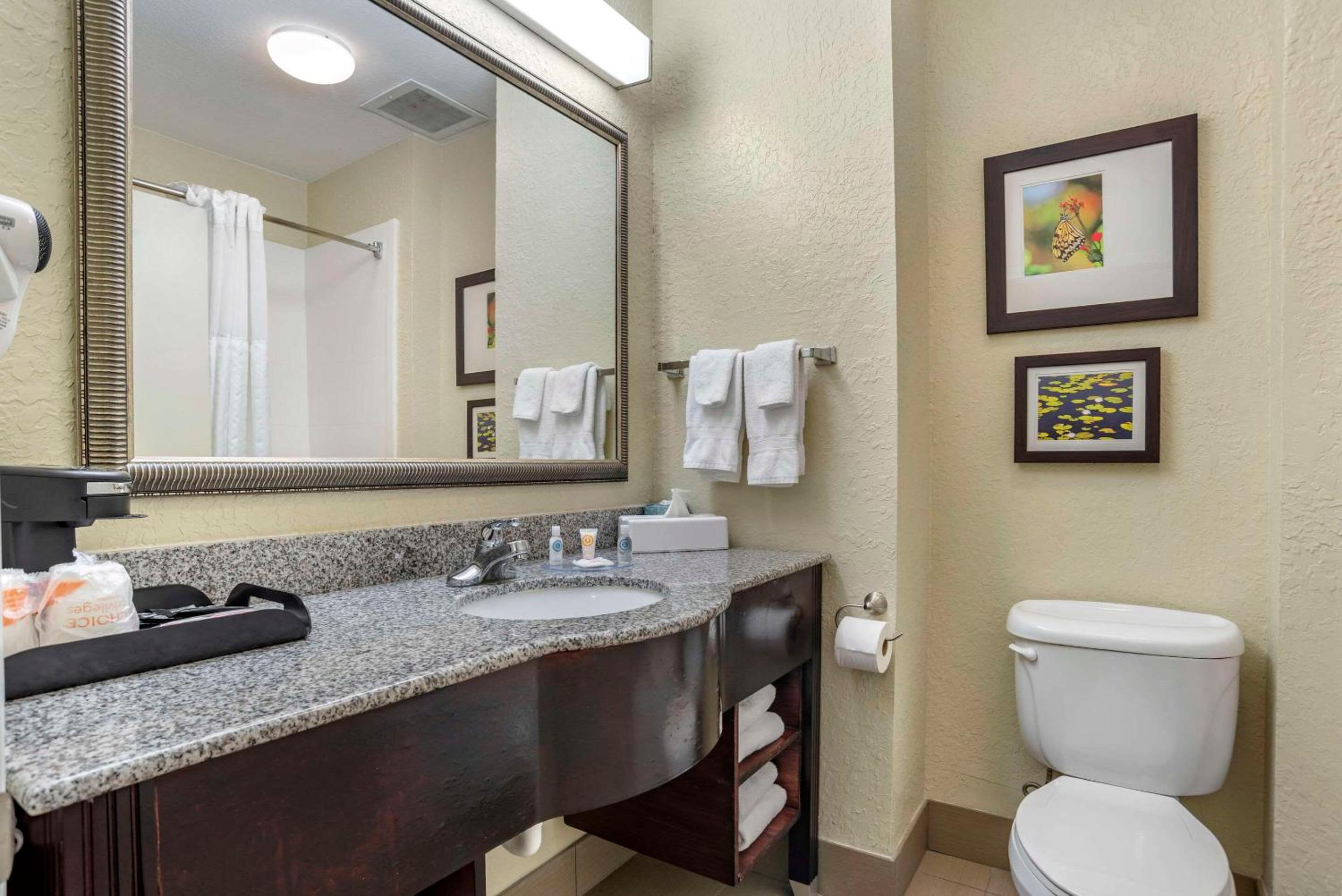 King Suite - Non-Smoking - Photo 5