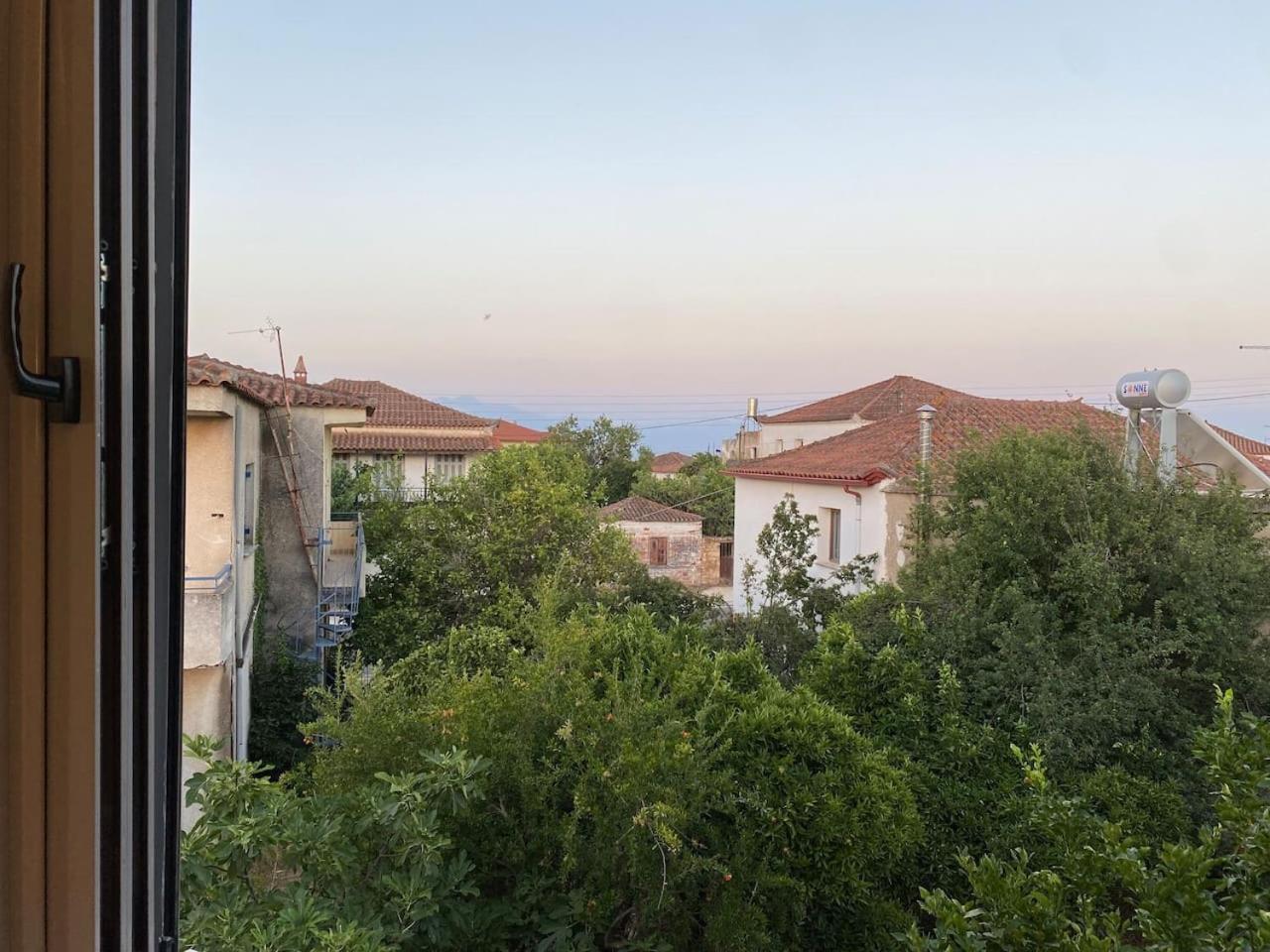 Apartment with Terrace photo 2