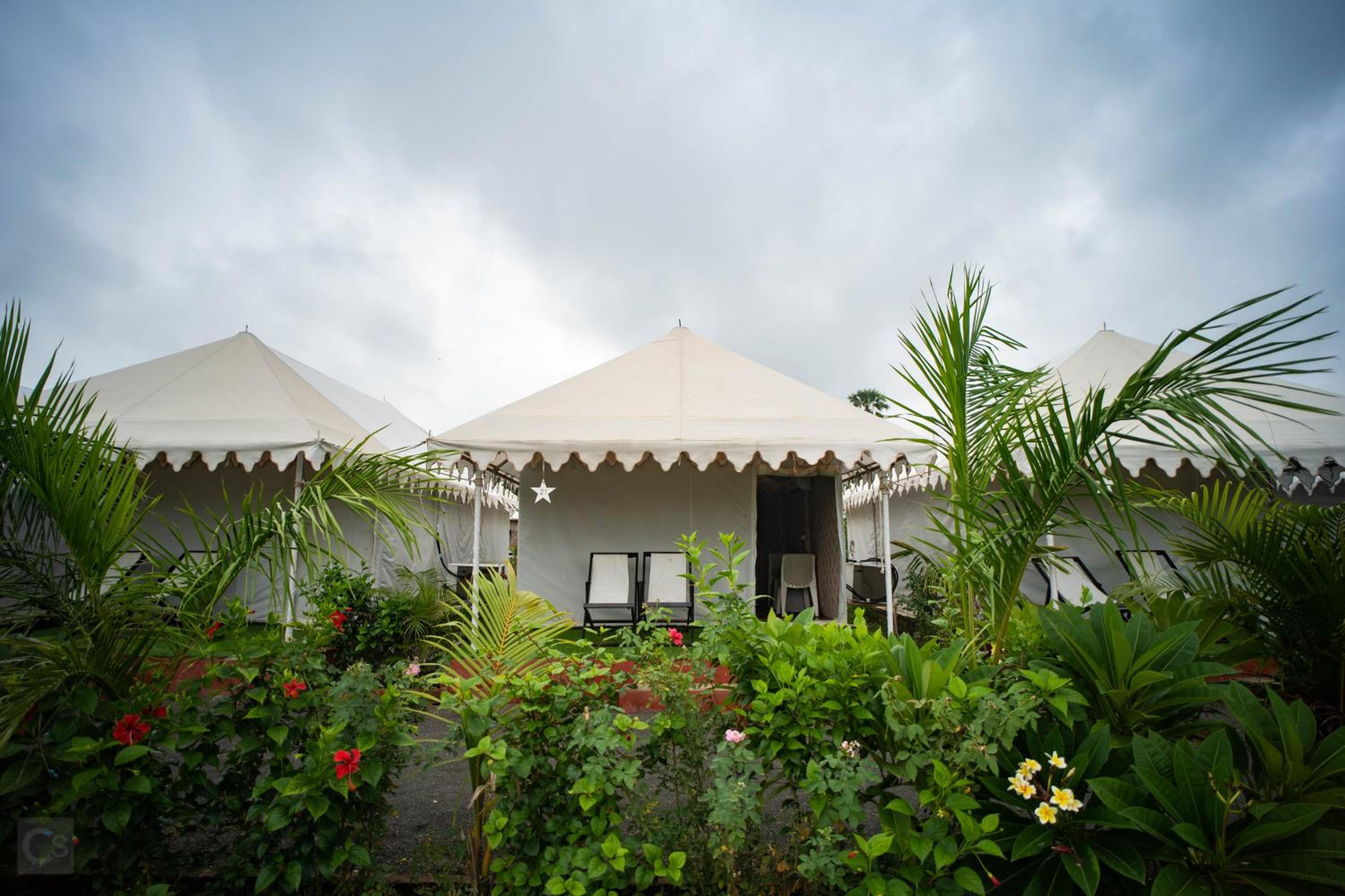 Tent - Photo 20