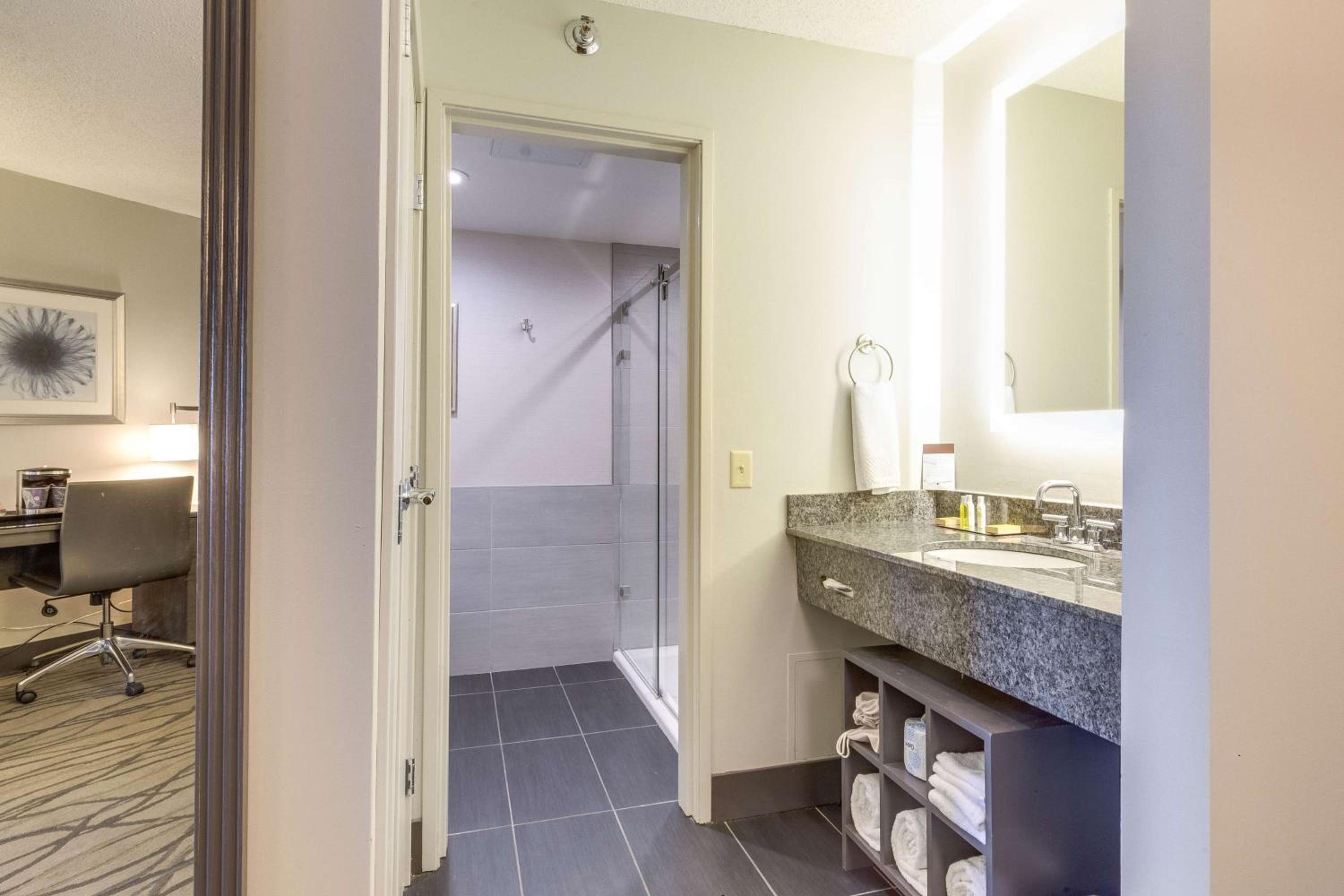 One-Bedroom King Suite photo 2