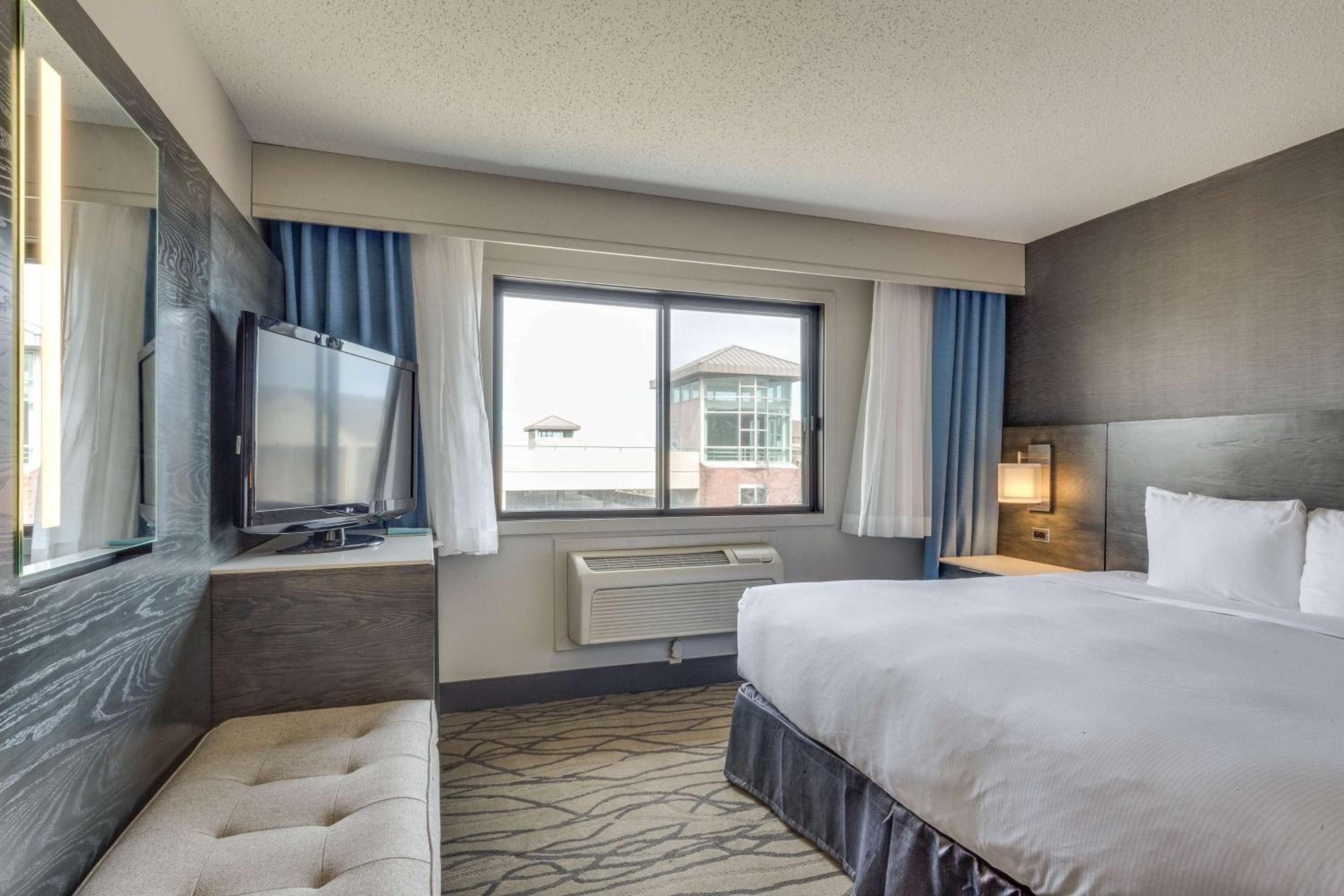 Junior King Suite with Seating Area photo 3