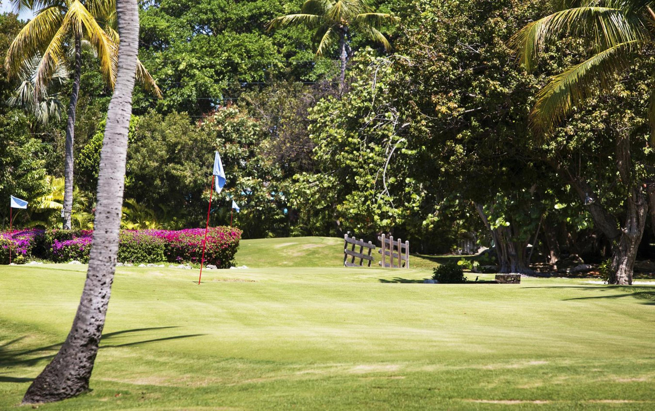 Golf Course Double Queen Guestroom - Photo 3