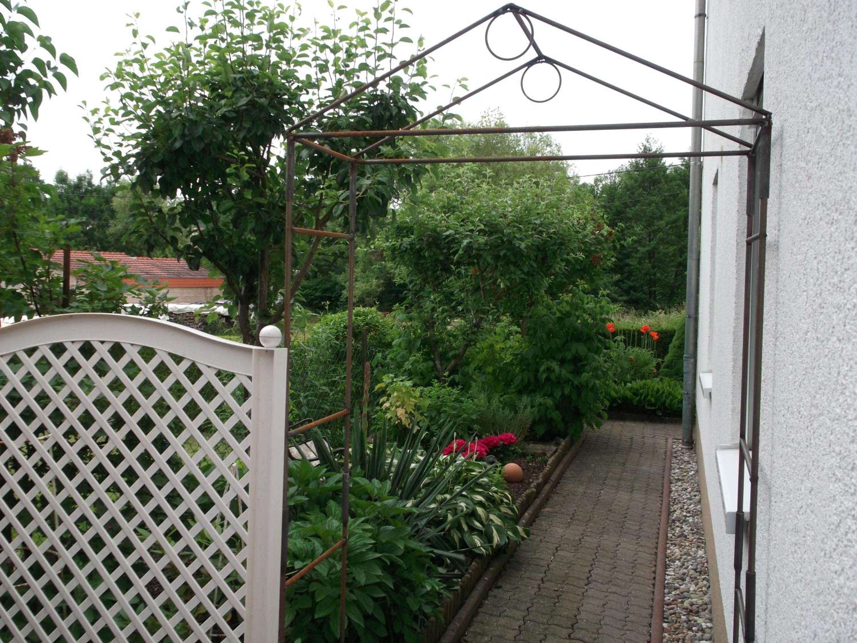 Apartment with Terrace photo 2