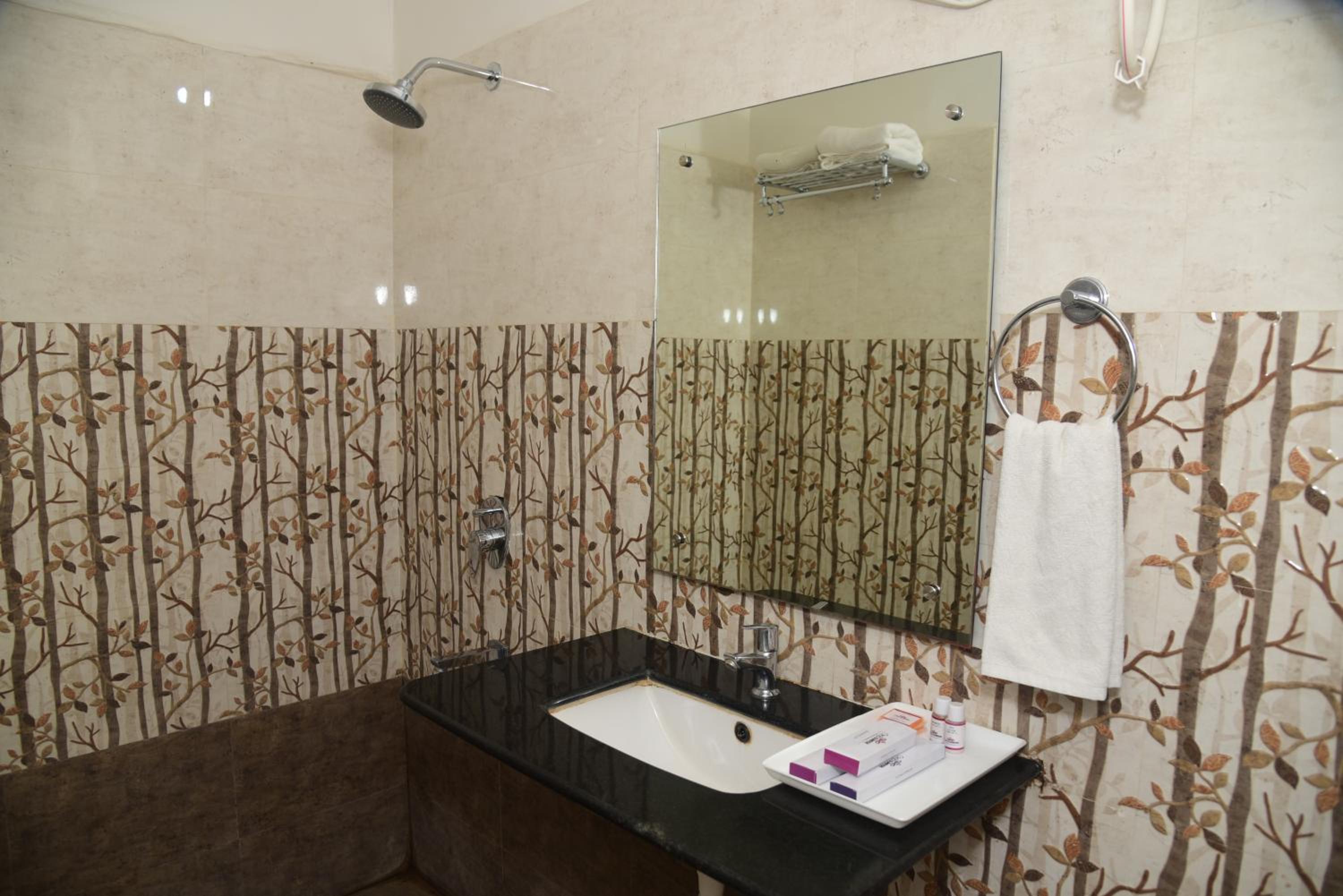 Deluxe Room - Photo 10