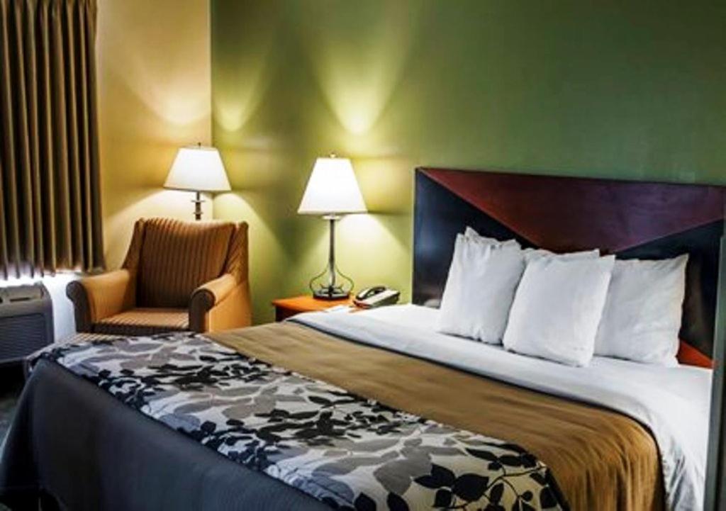 King Room - Non-Smoking - Photo 8