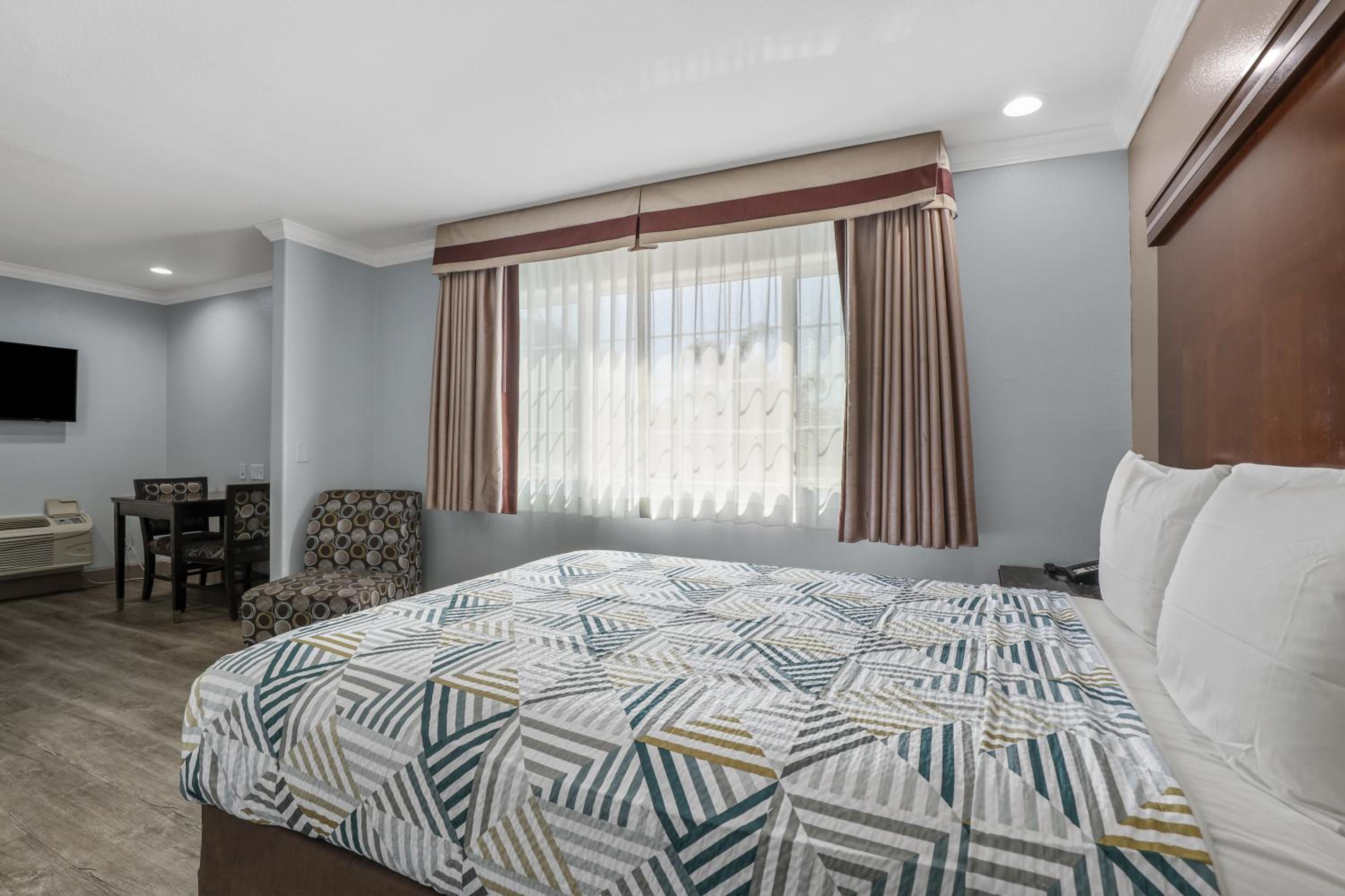Deluxe Suite - Photo 11