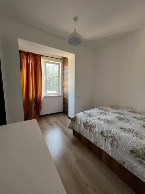 Two-Bedroom Apartment photo 2