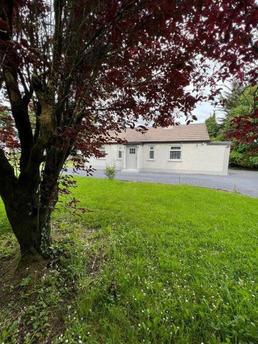 Two-Bedroom House photo 3